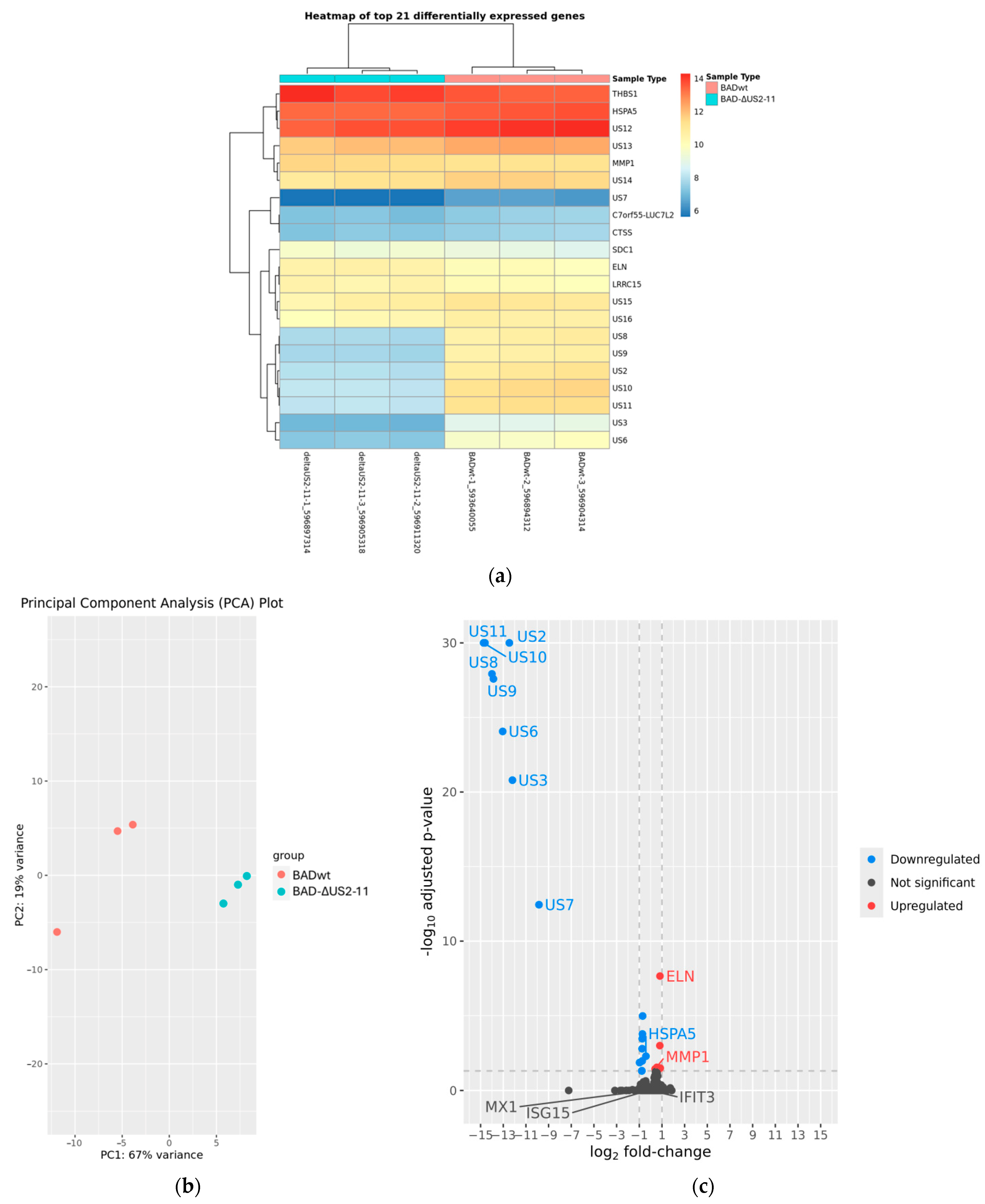 Viruses 17 00426 g005