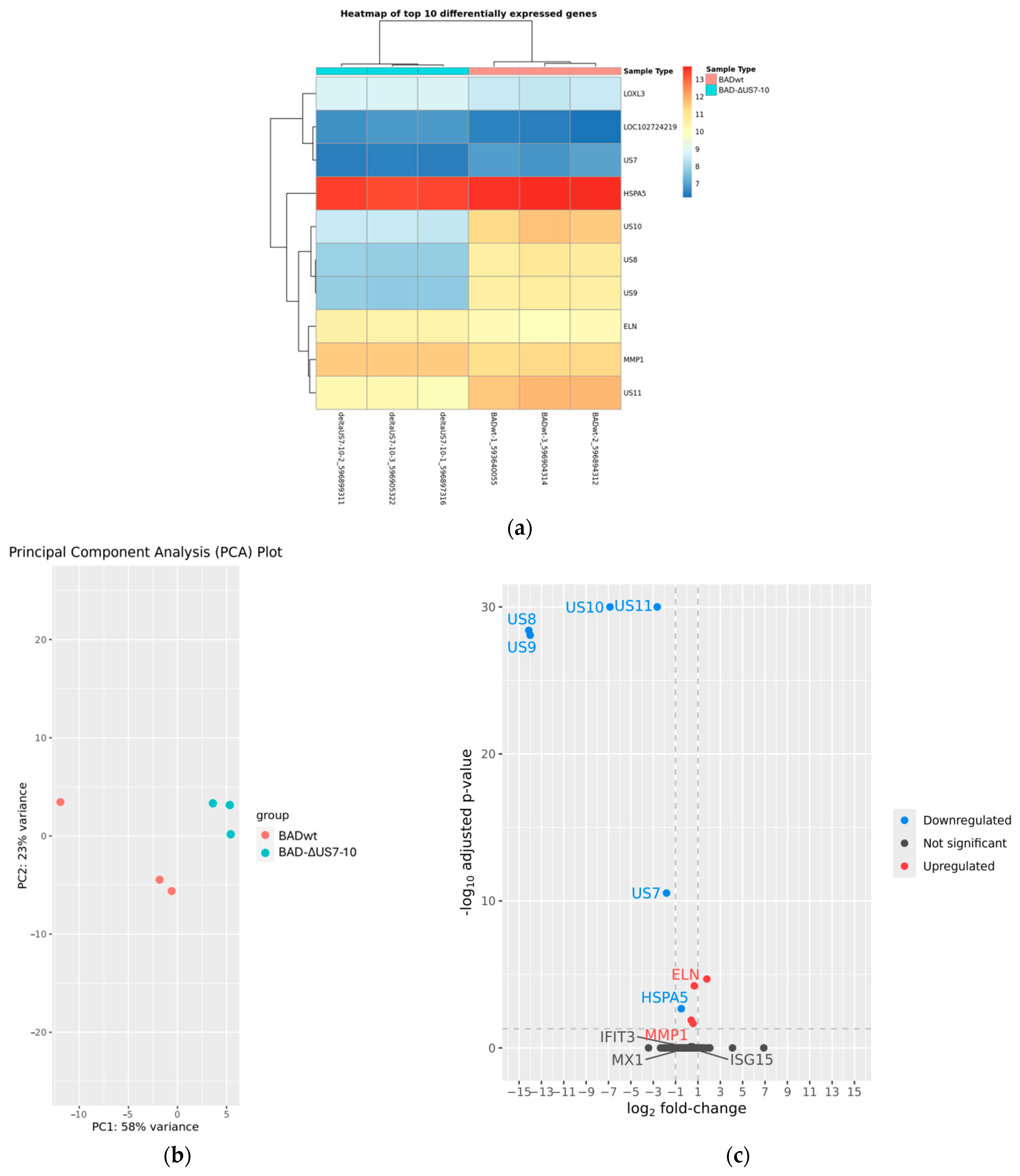 Viruses 17 00426 g006