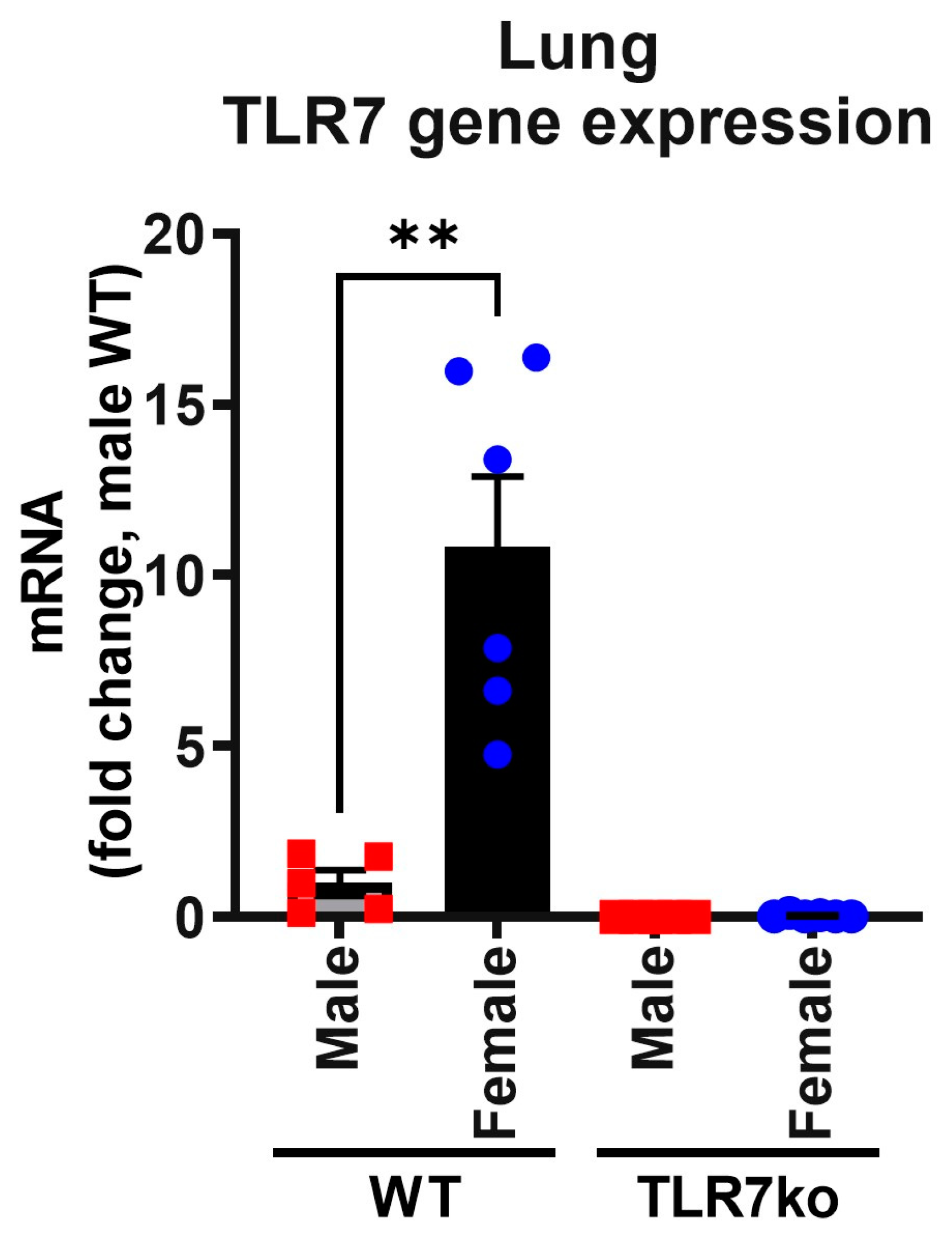 Viruses 17 00428 g002