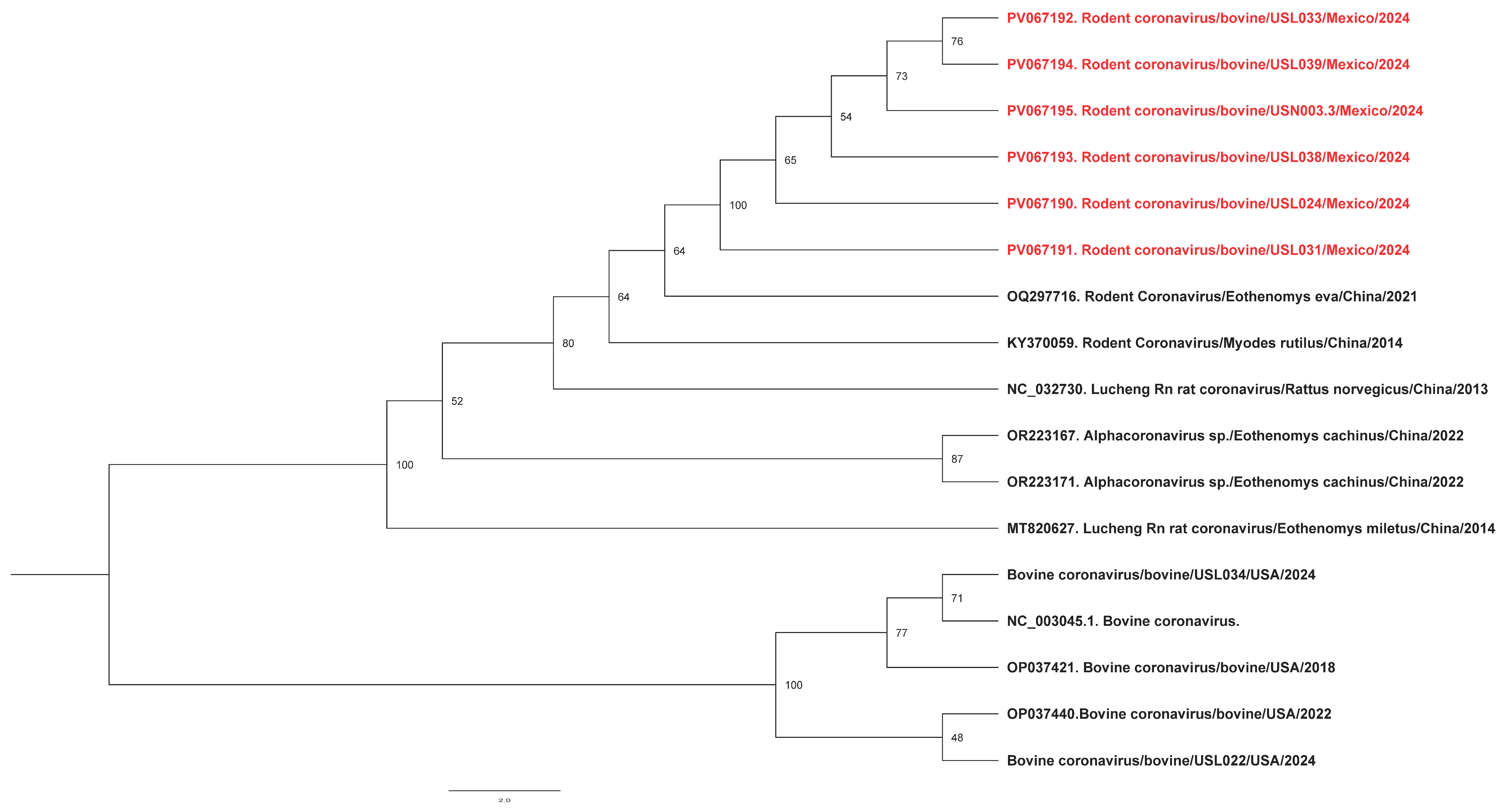Viruses 17 00433 g001