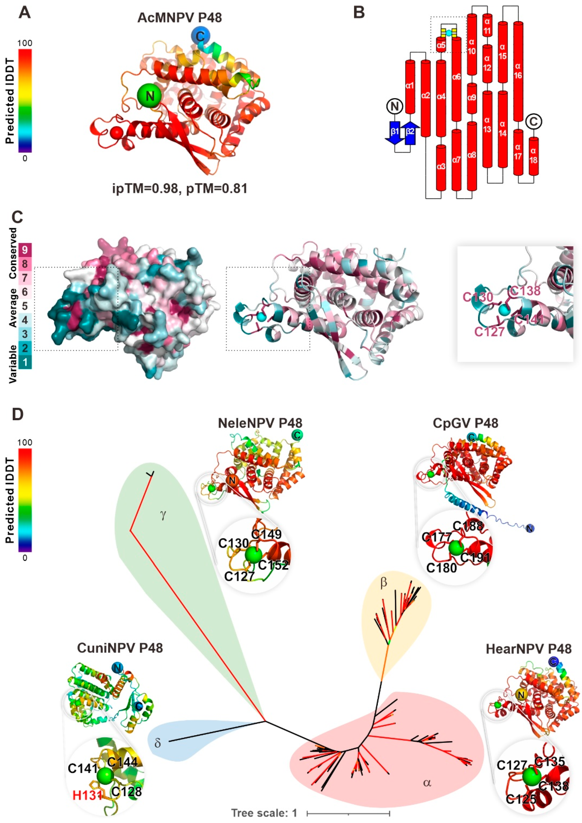 Viruses 17 00434 g001