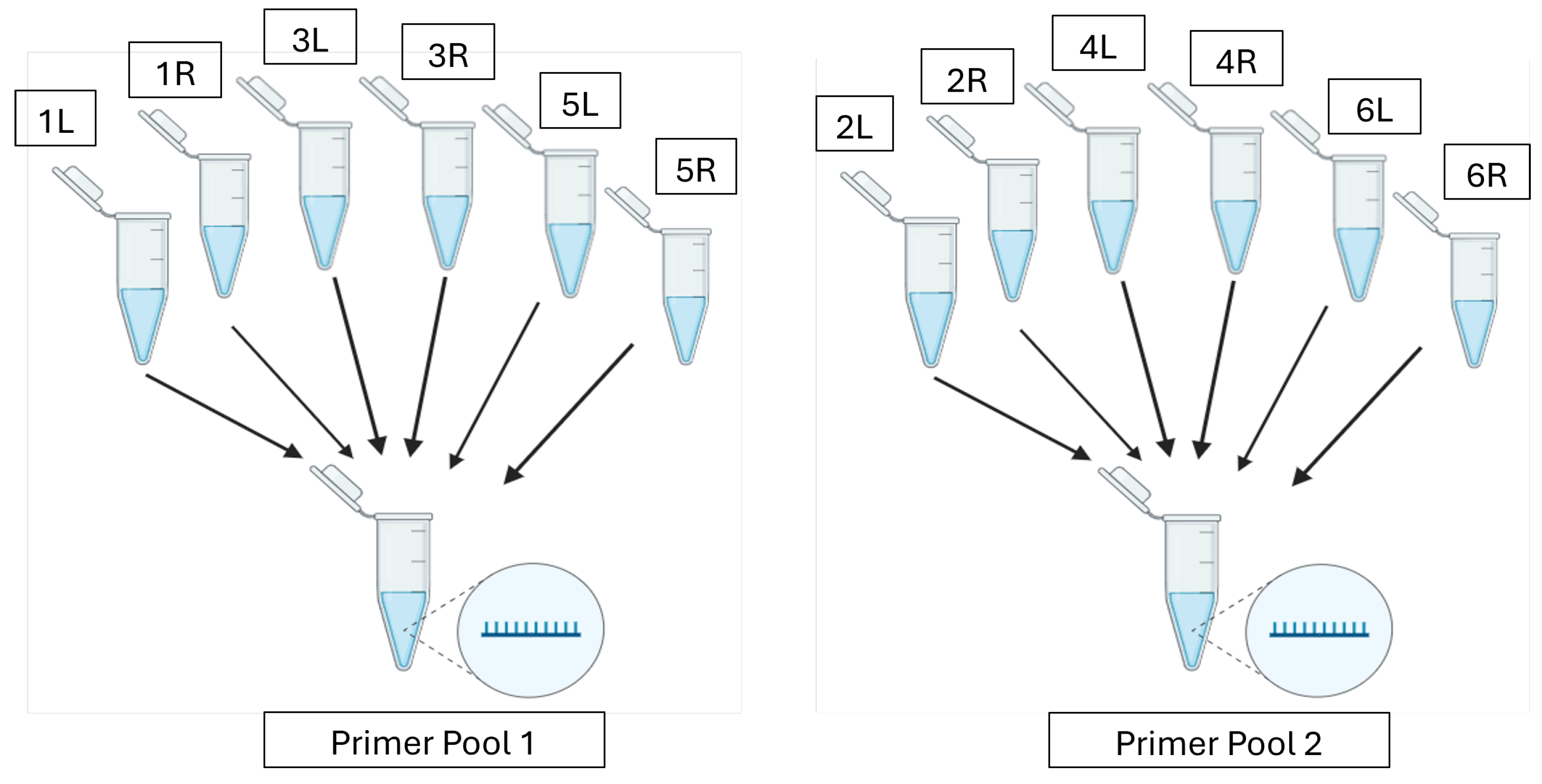 Viruses 17 00437 g001