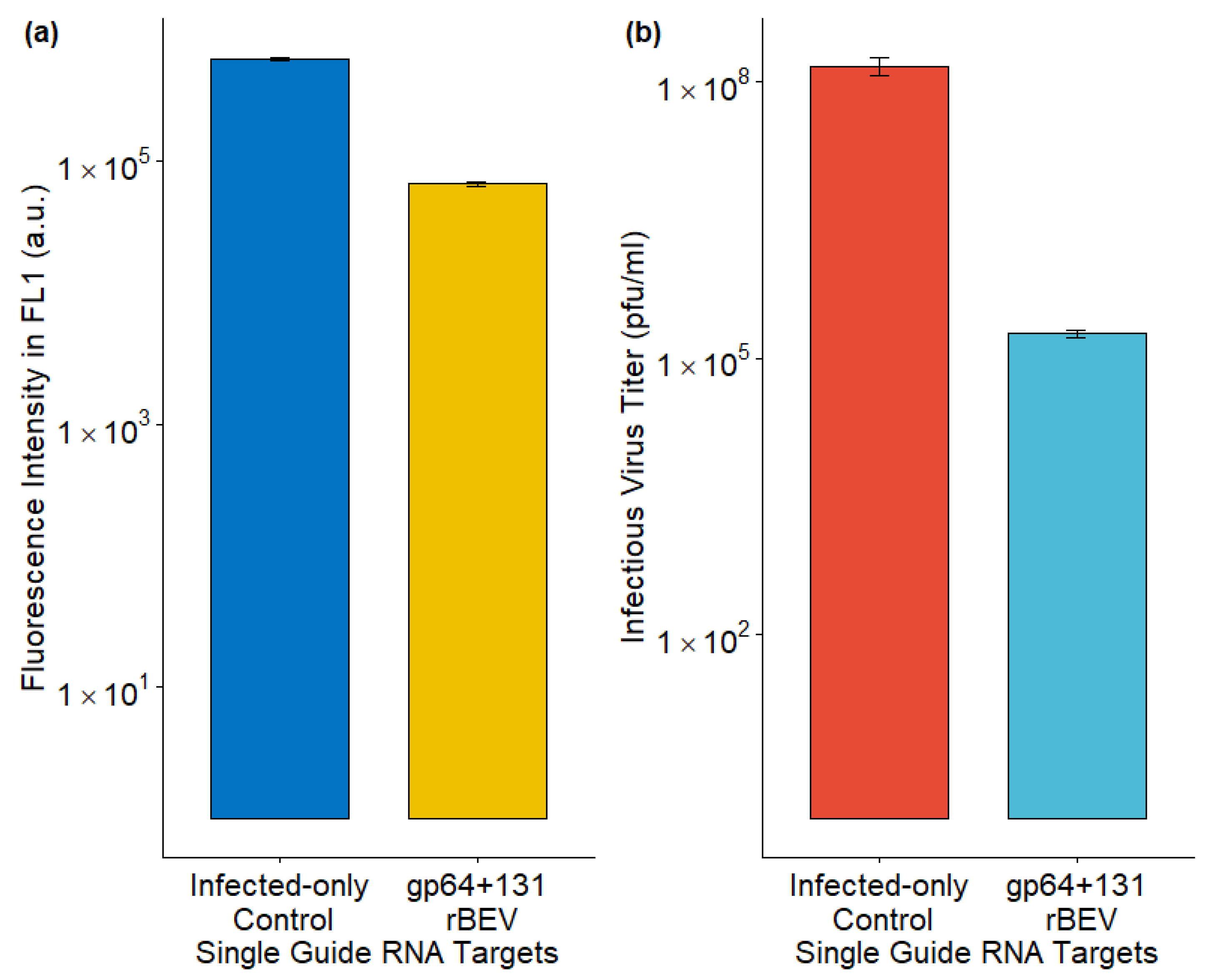 Viruses 17 00437 g003