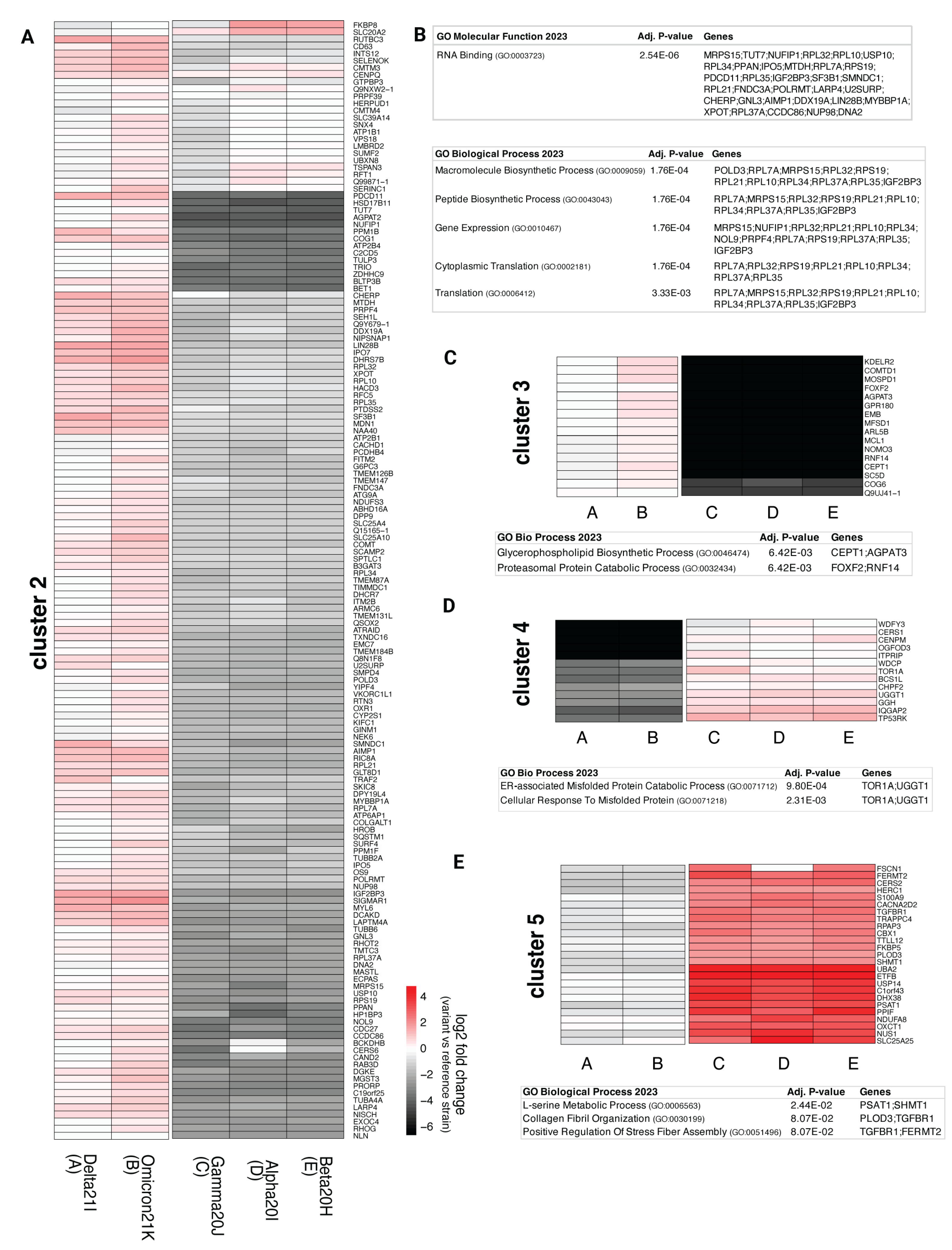 Viruses 17 00447 g005