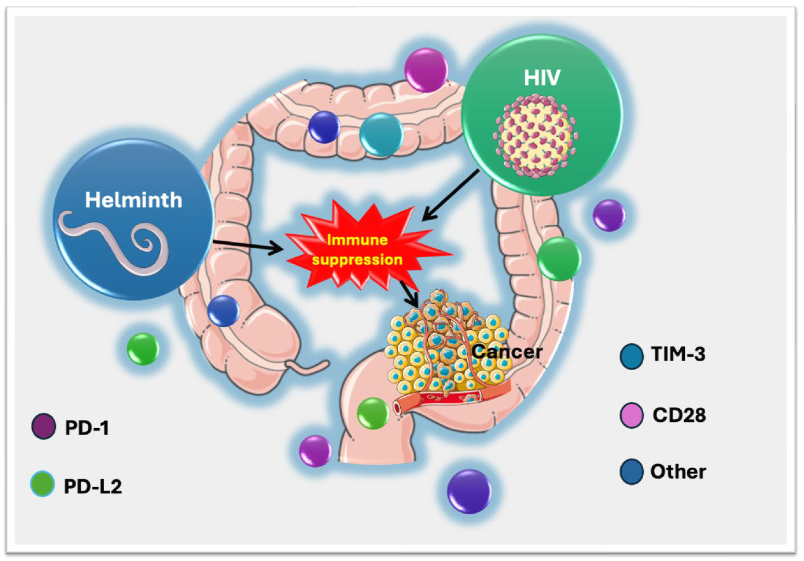 Viruses 17 00451 g002