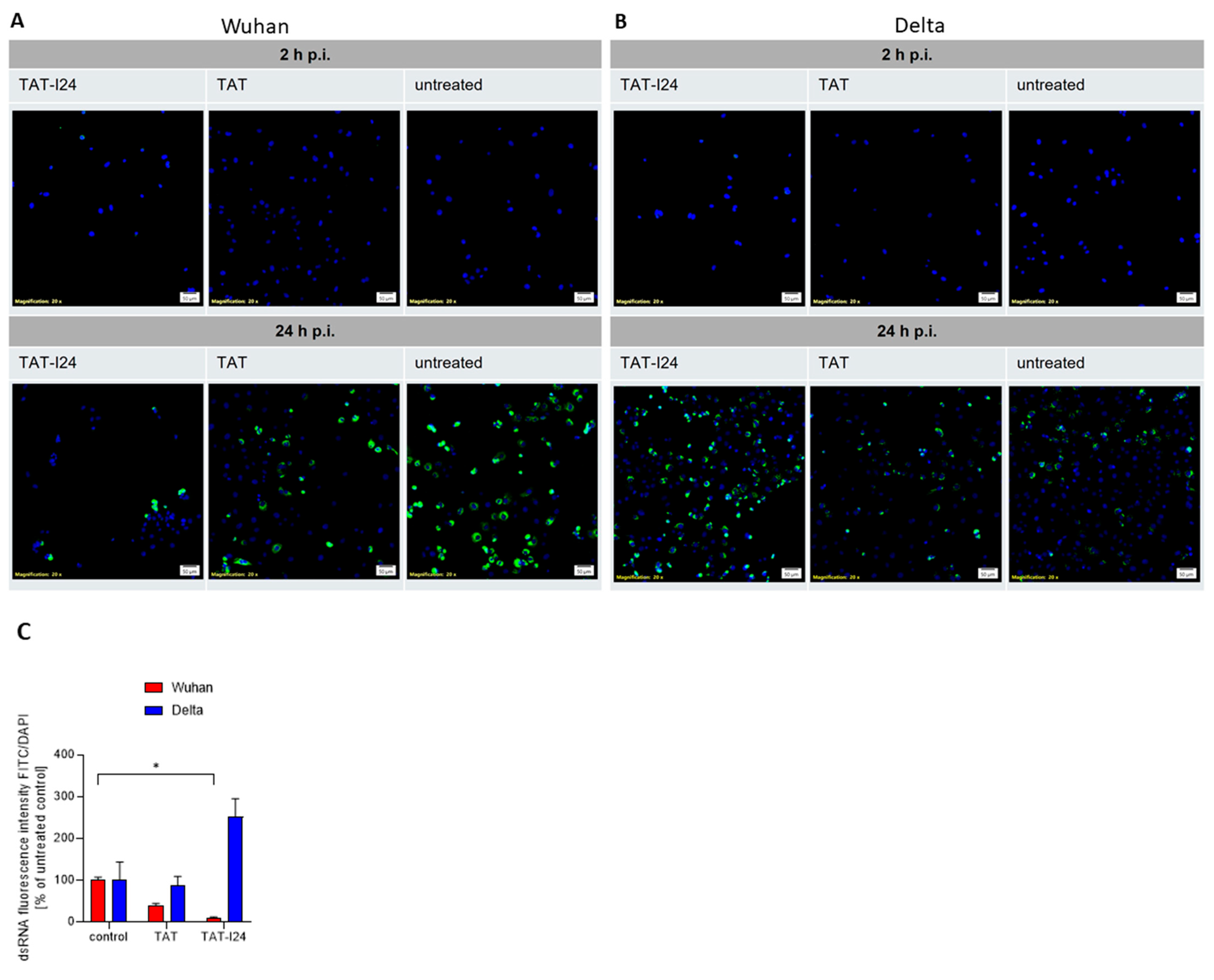 Viruses 17 00458 g004