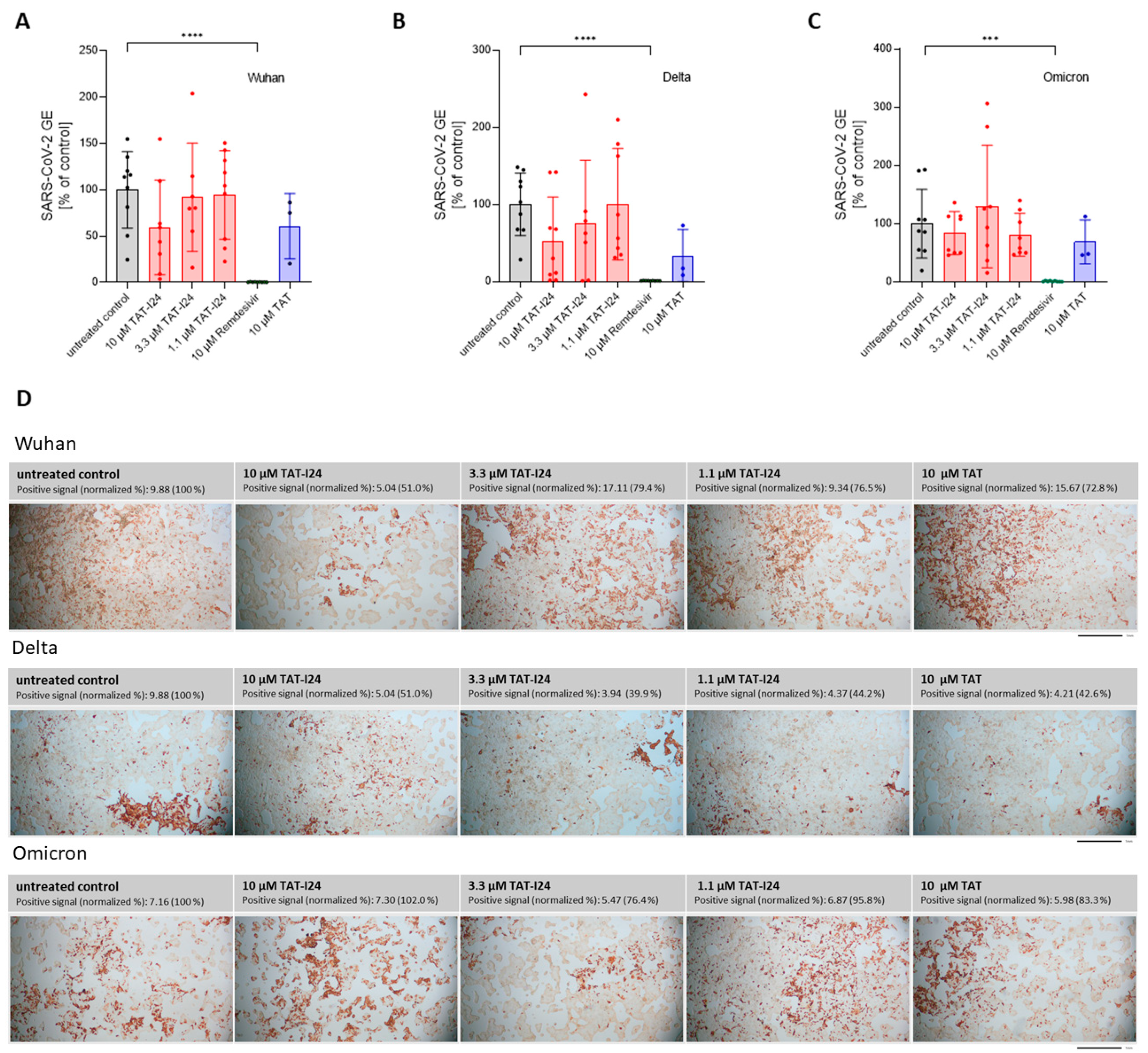 Viruses 17 00458 g005