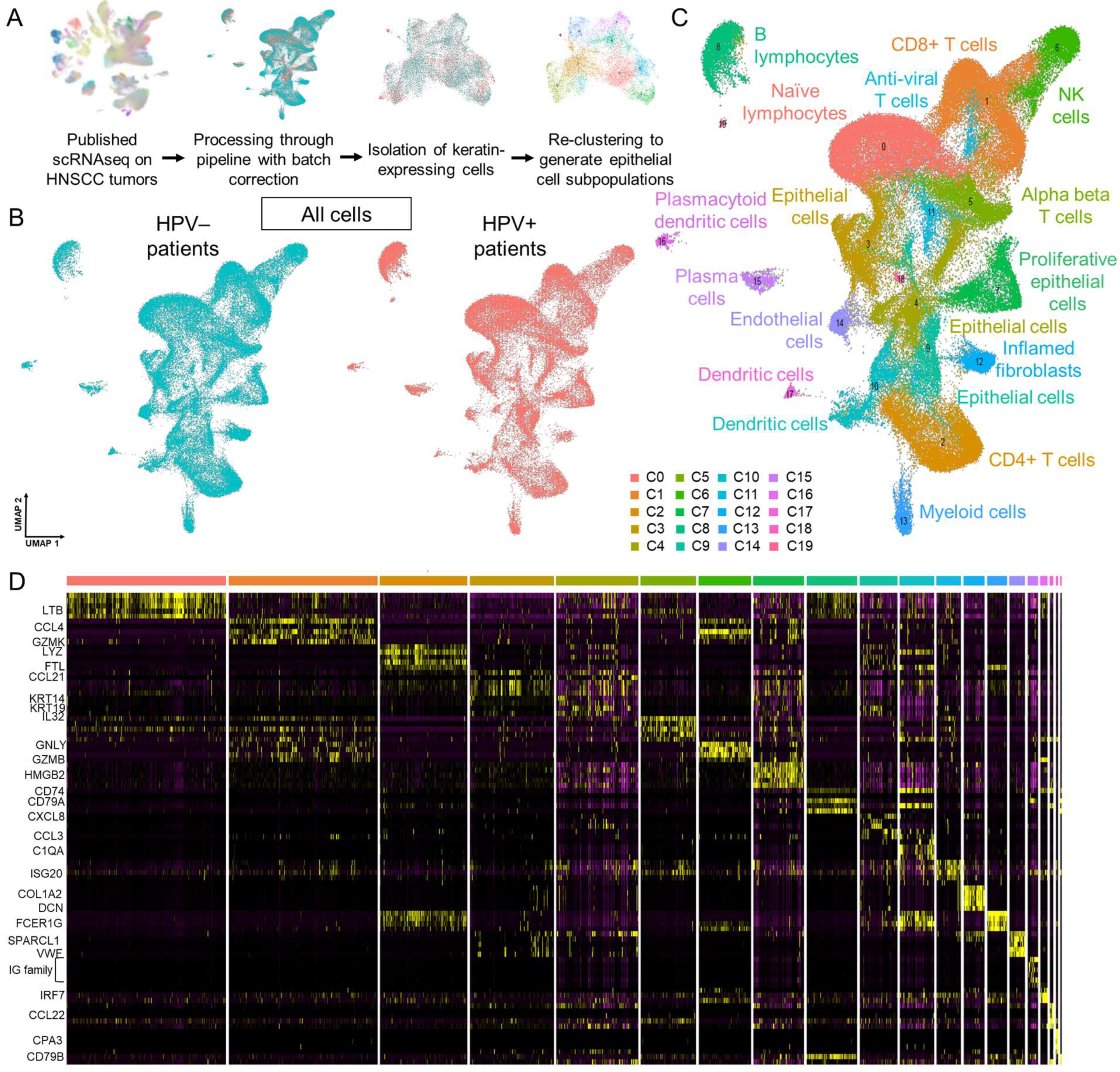 Viruses 17 00461 g001