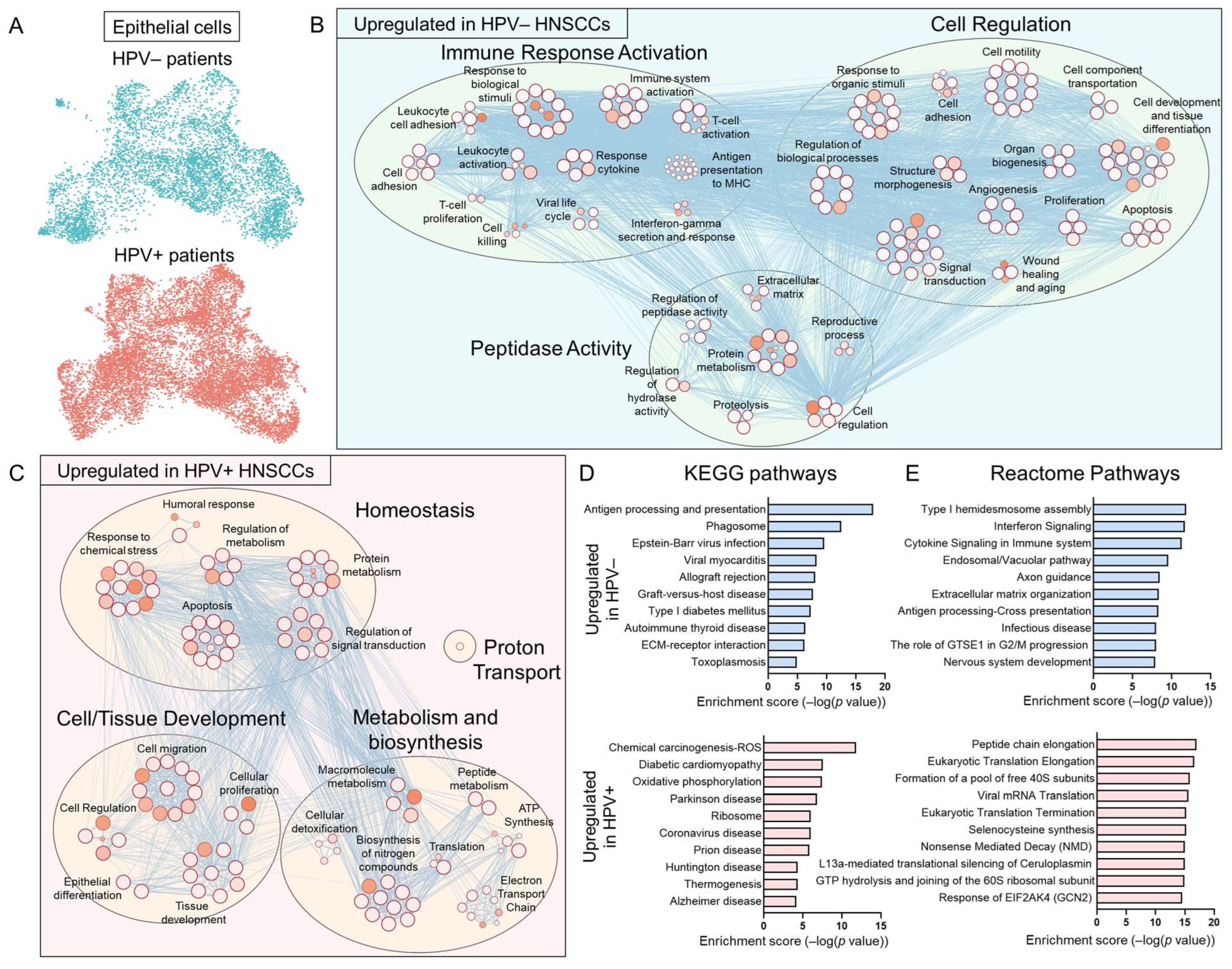Viruses 17 00461 g002
