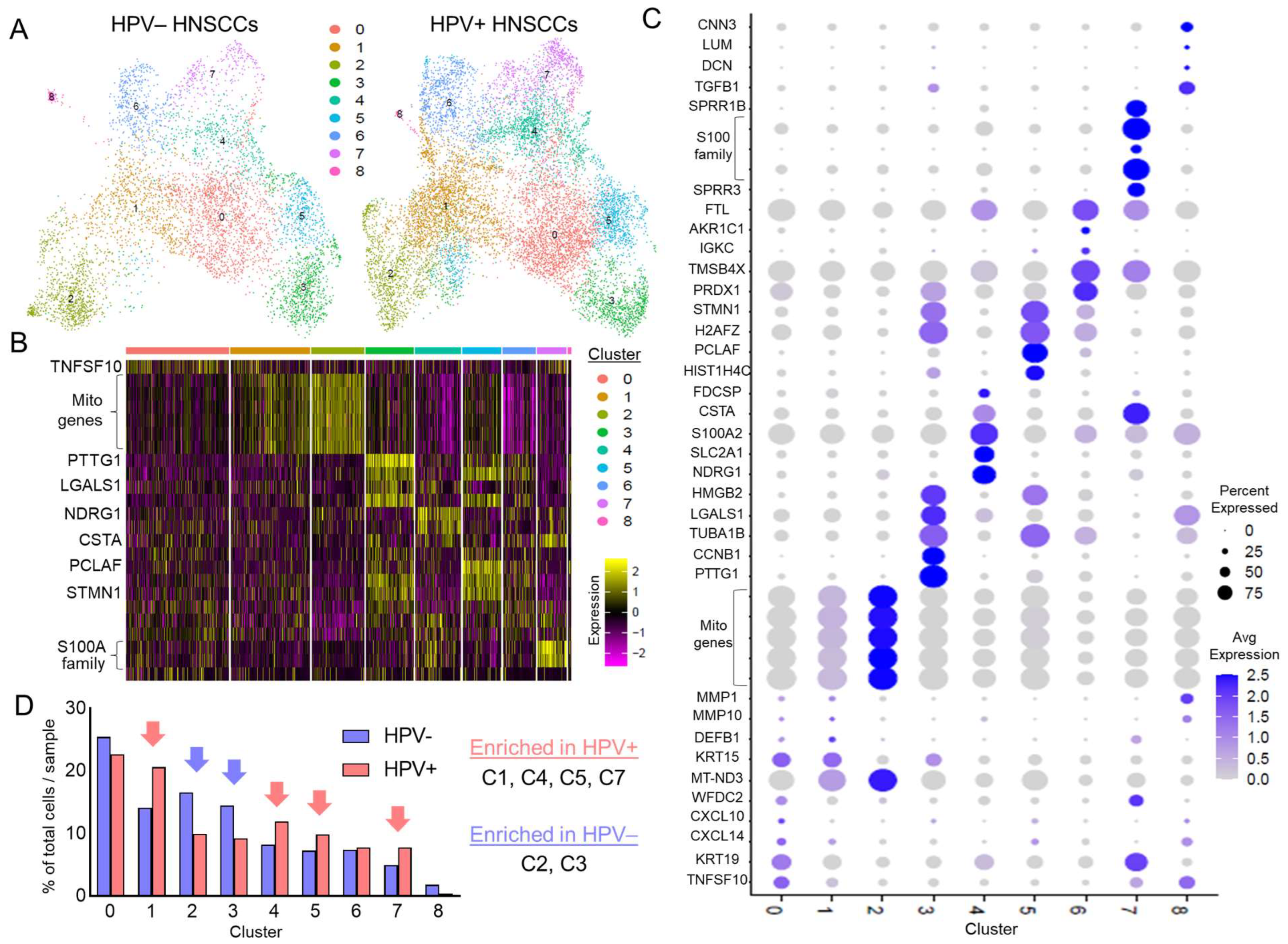 Viruses 17 00461 g003