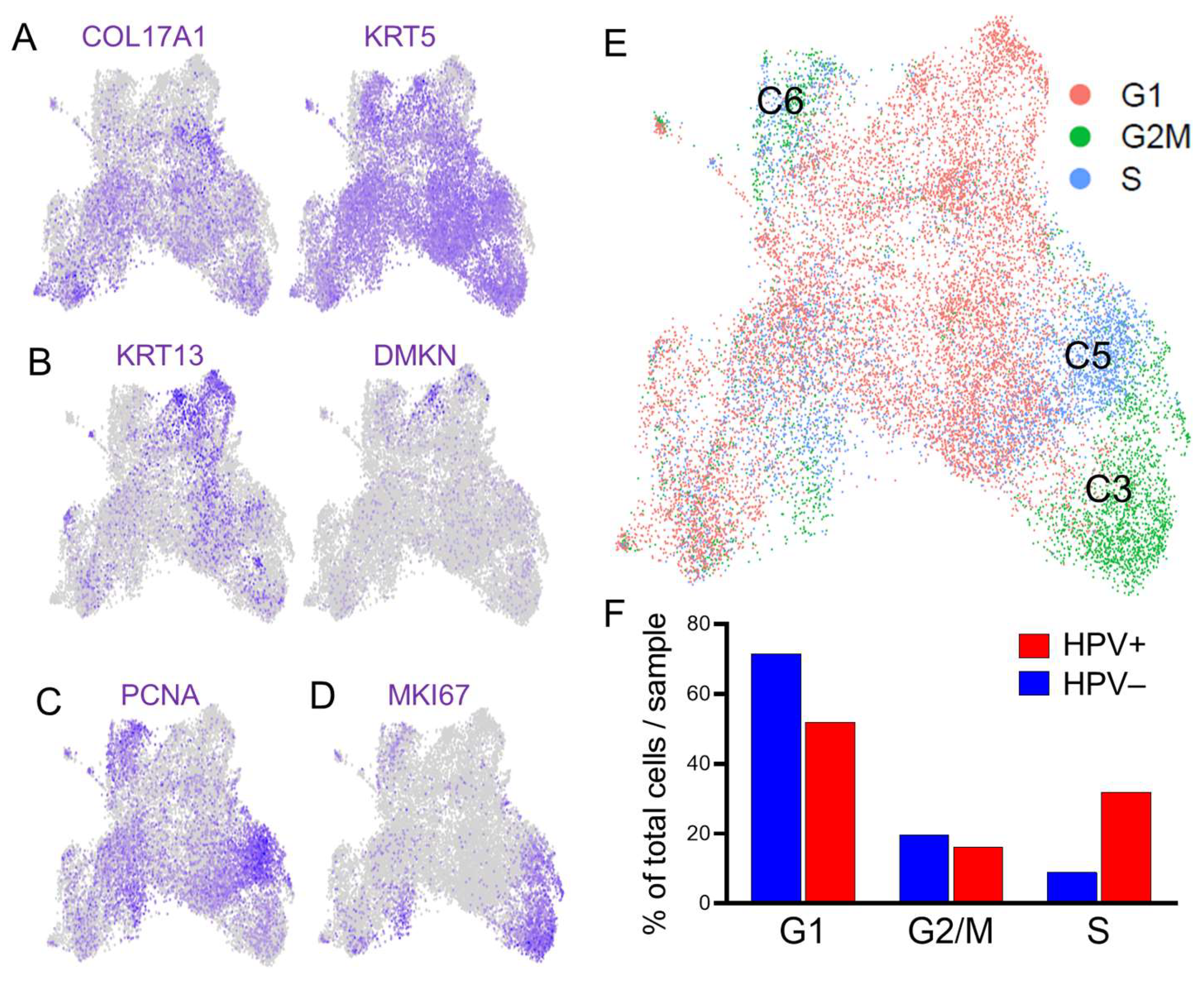 Viruses 17 00461 g004