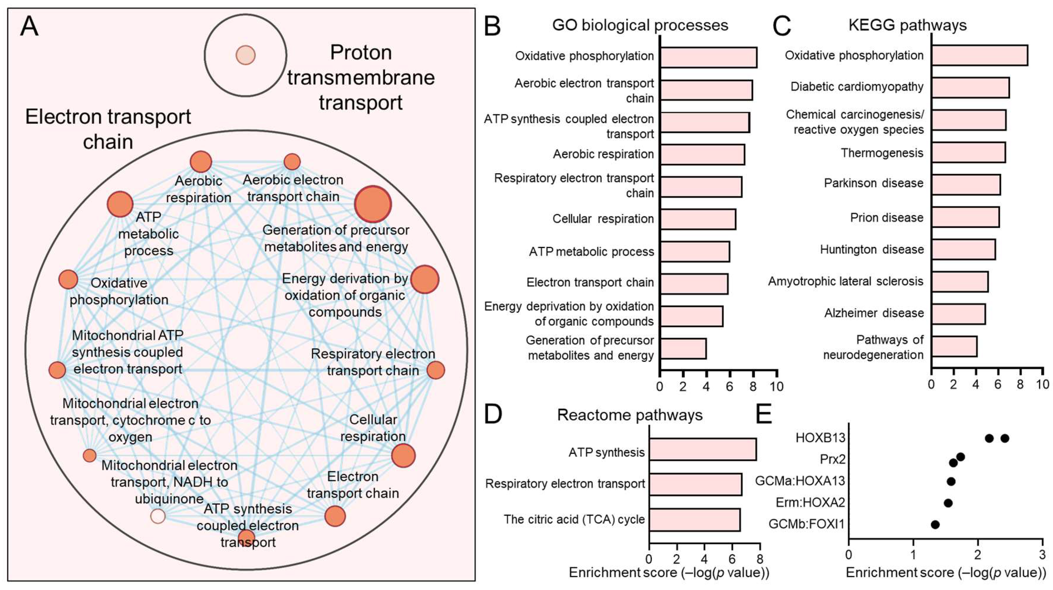 Viruses 17 00461 g005