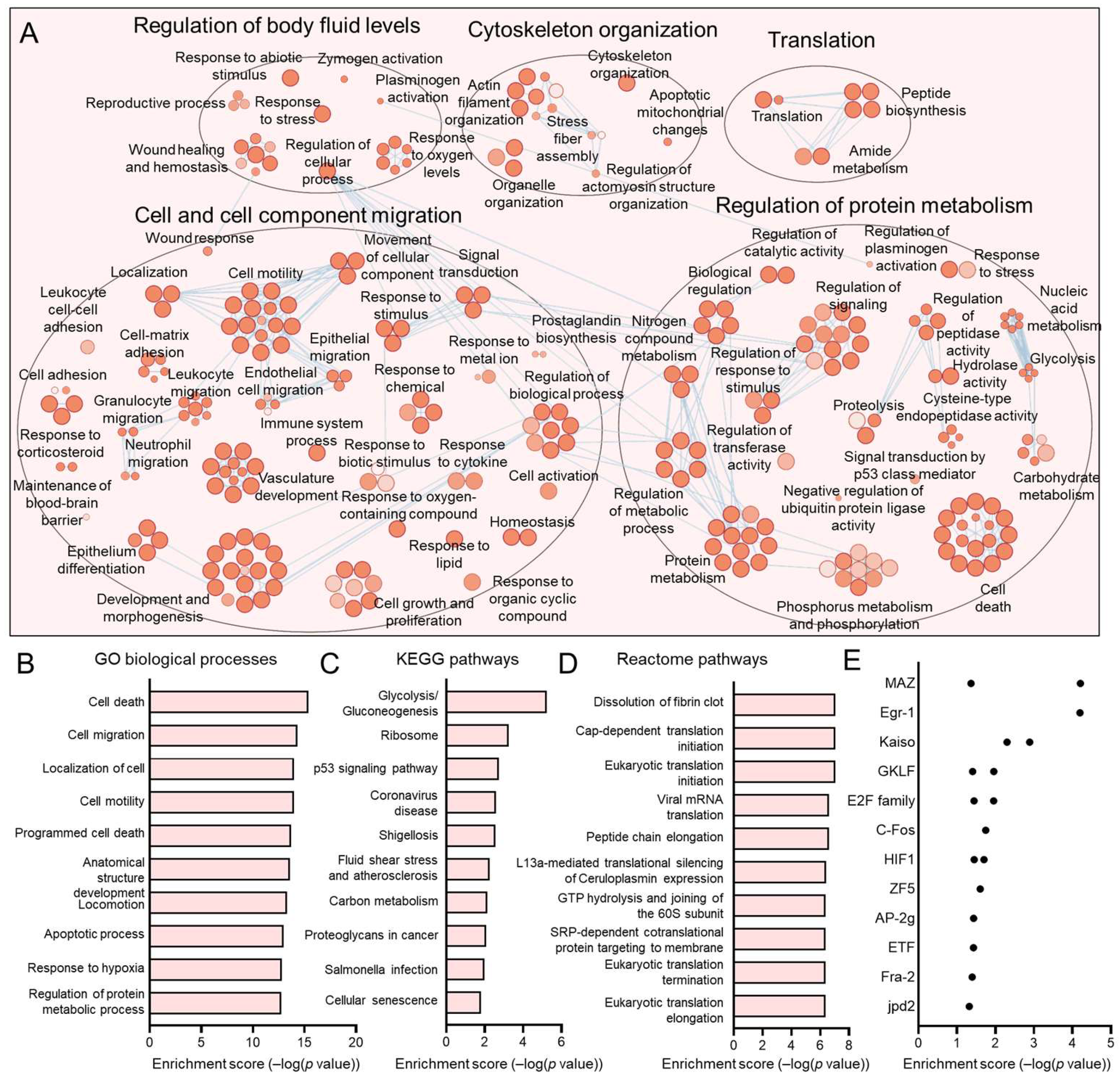 Viruses 17 00461 g006