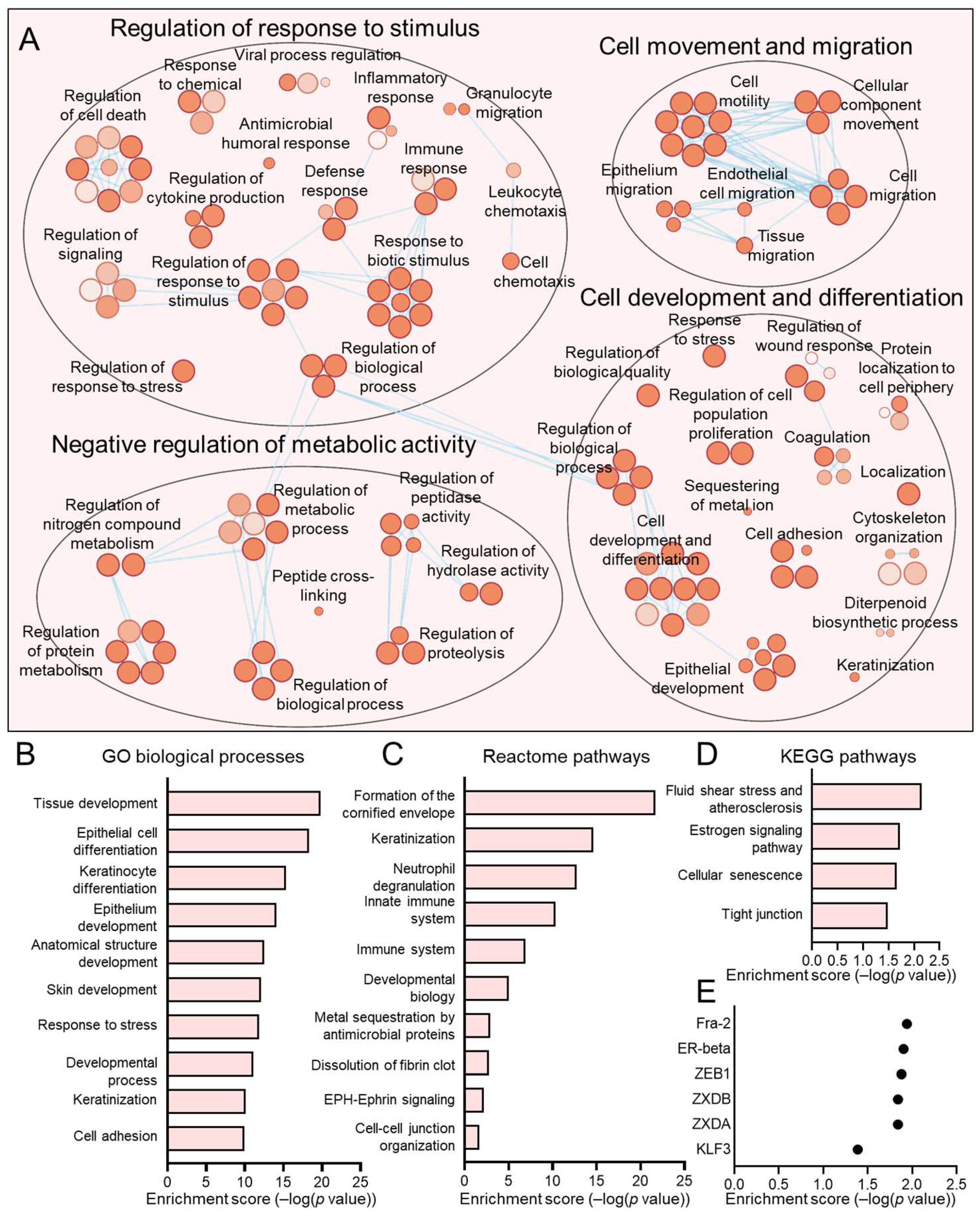 Viruses 17 00461 g008