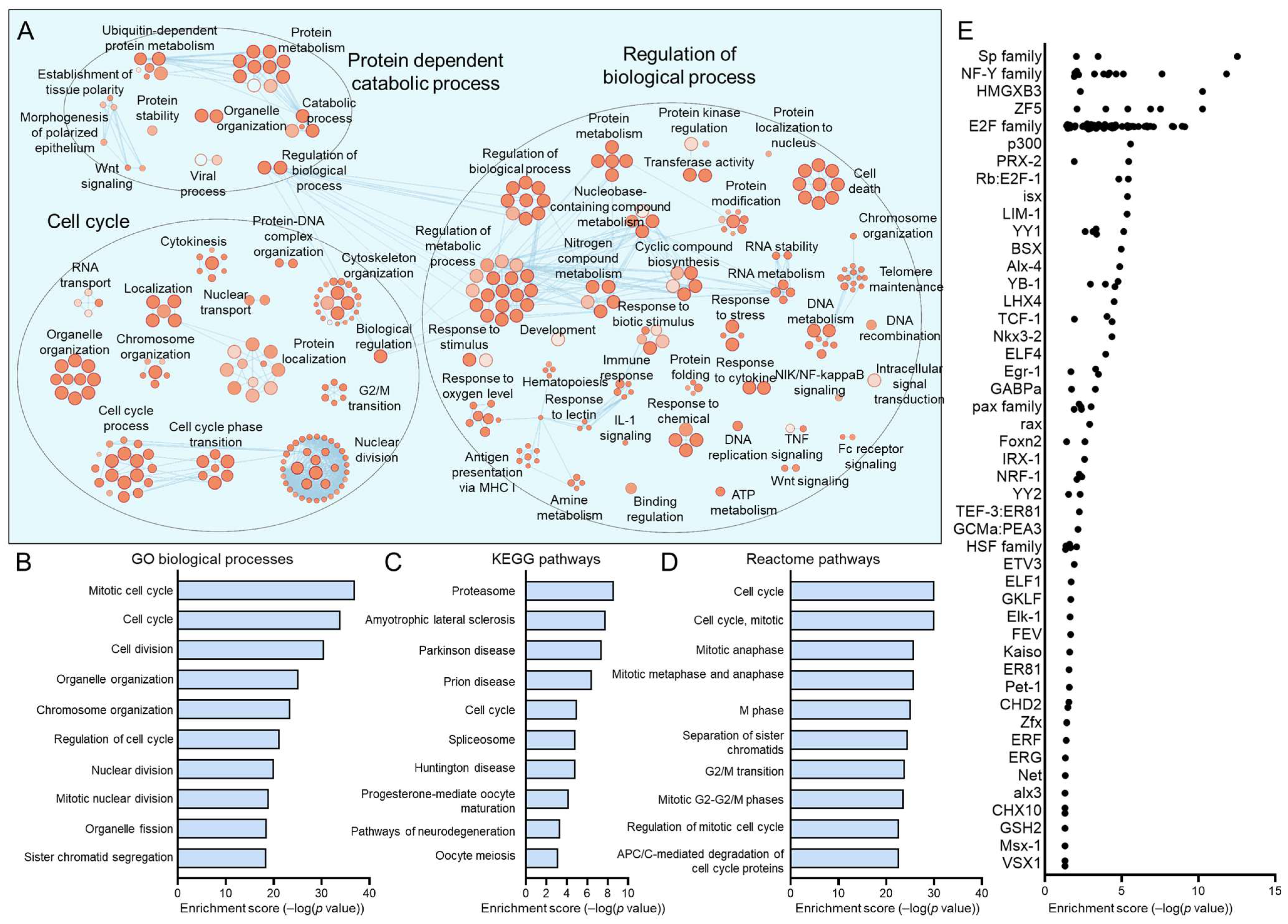 Viruses 17 00461 g010