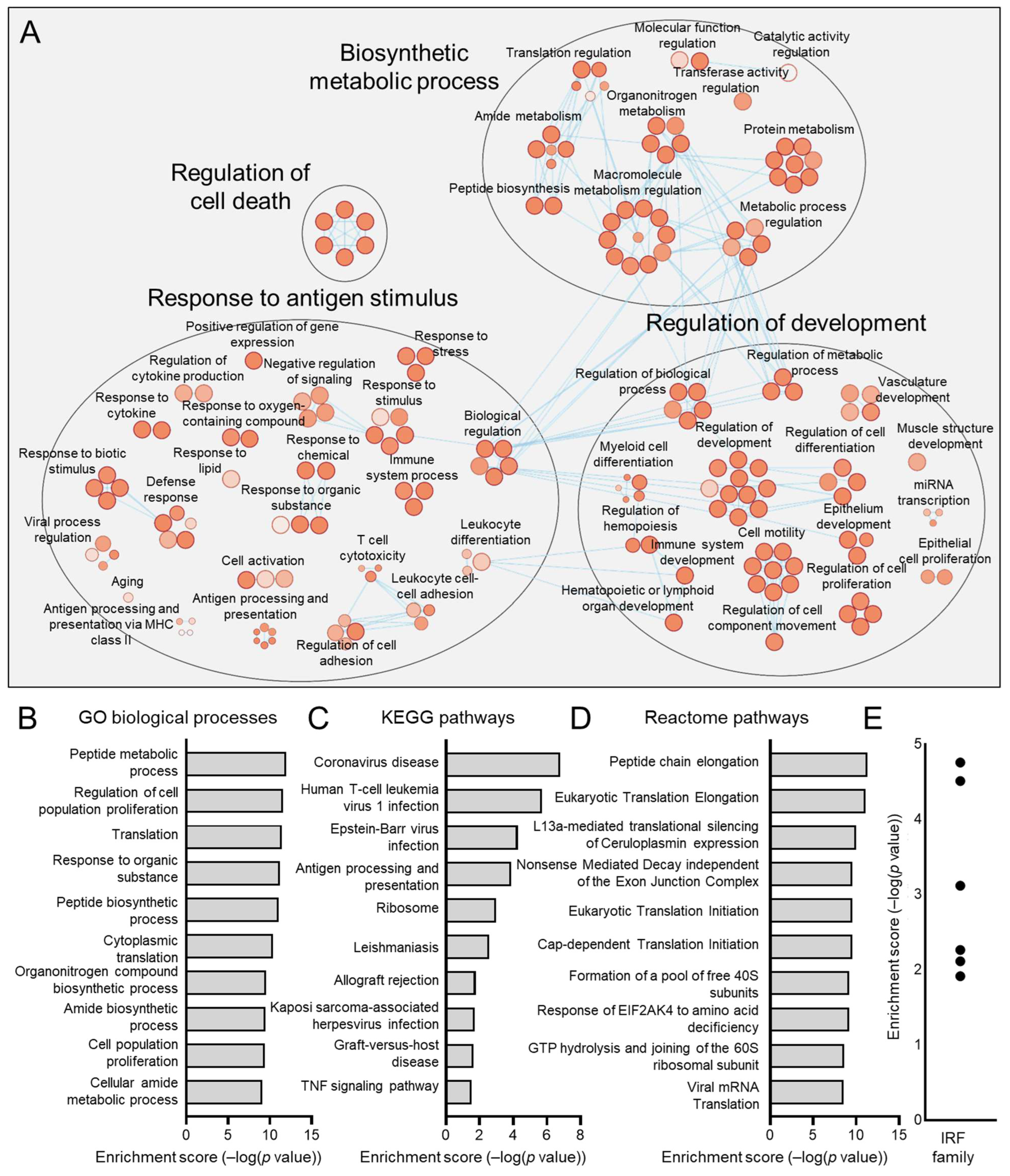 Viruses 17 00461 g011