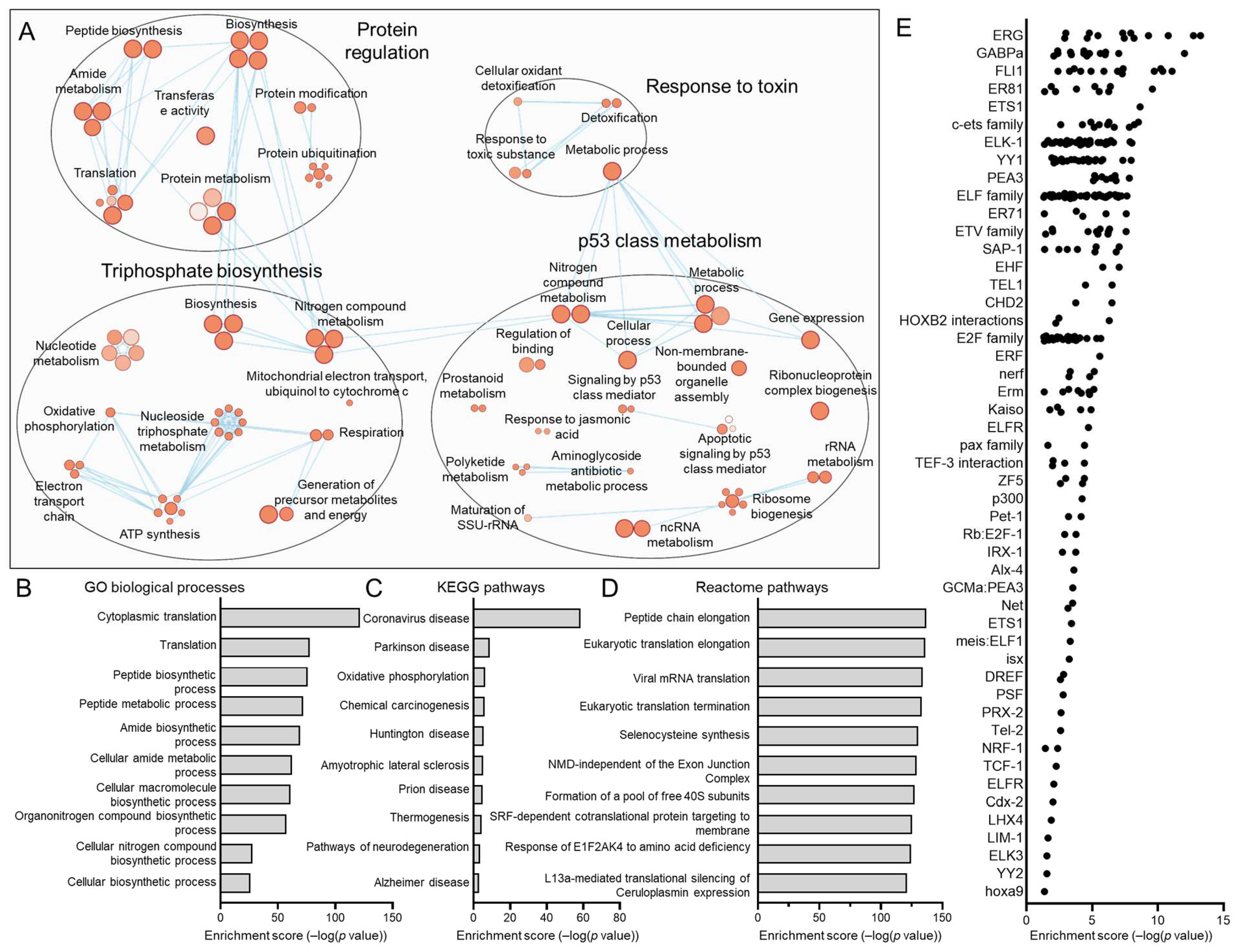 Viruses 17 00461 g012