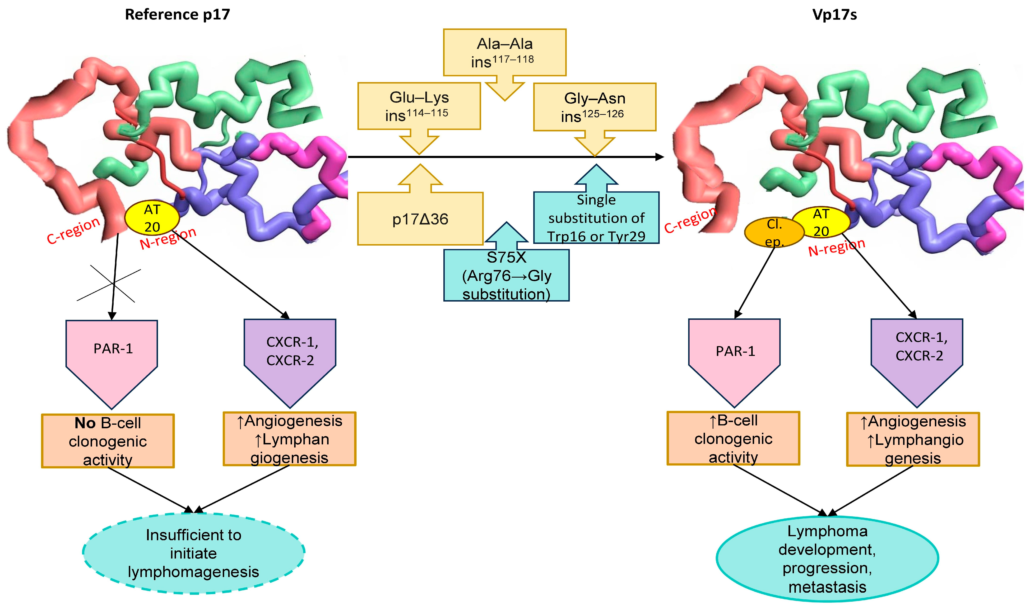 Viruses 17 00463 g001