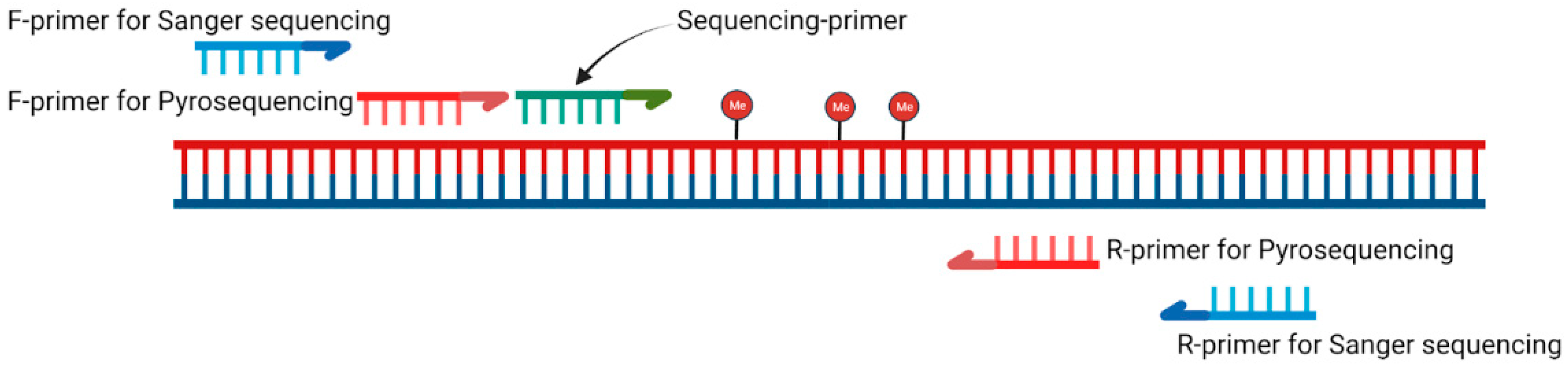 Viruses 17 00465 g001