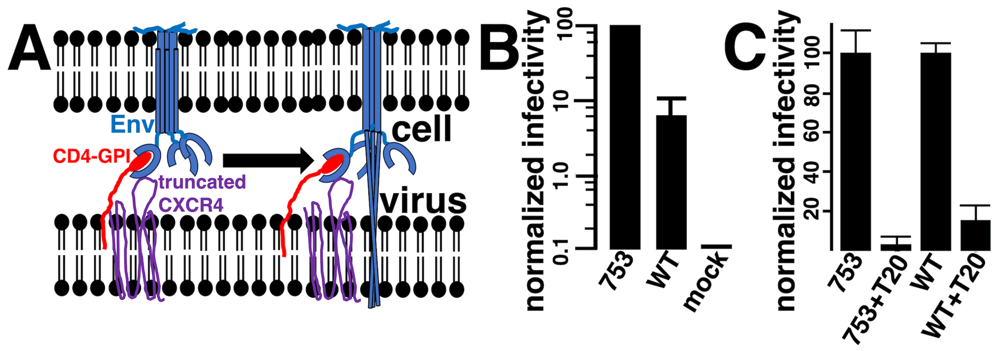 Viruses 17 00472 g004