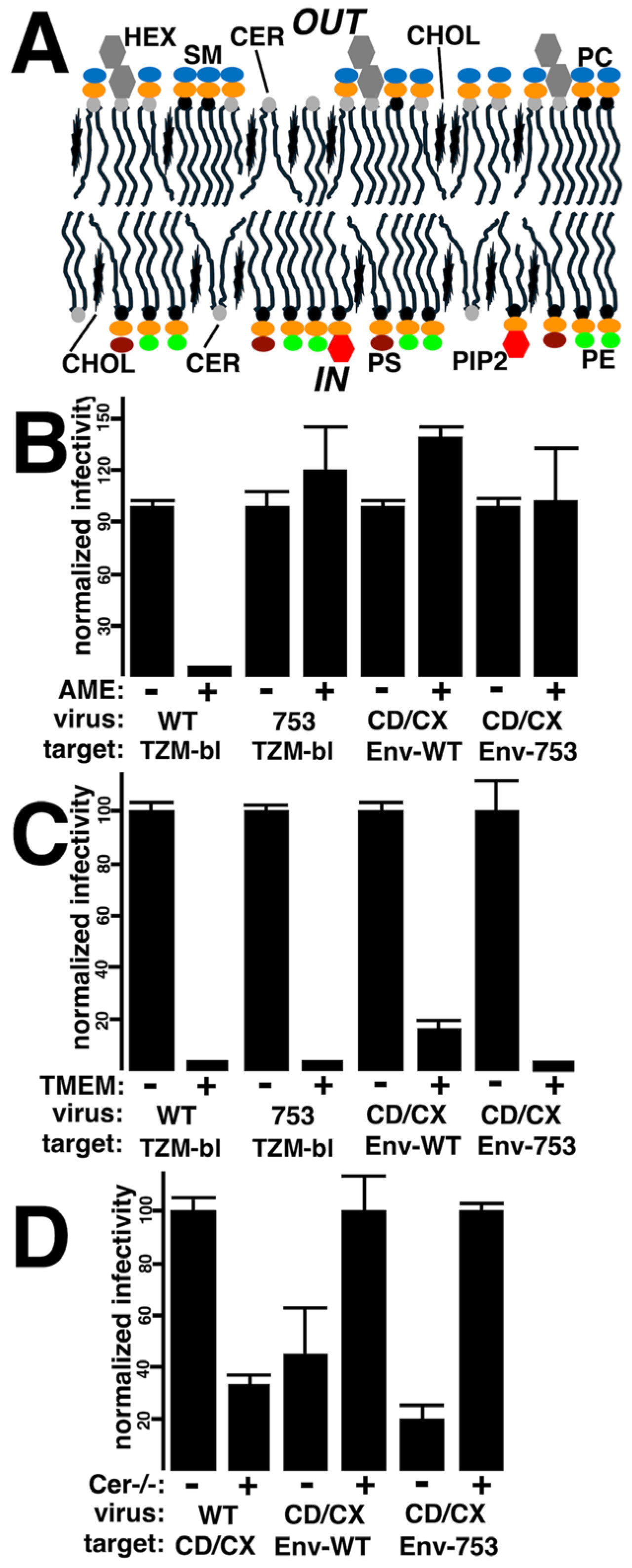 Viruses 17 00472 g008