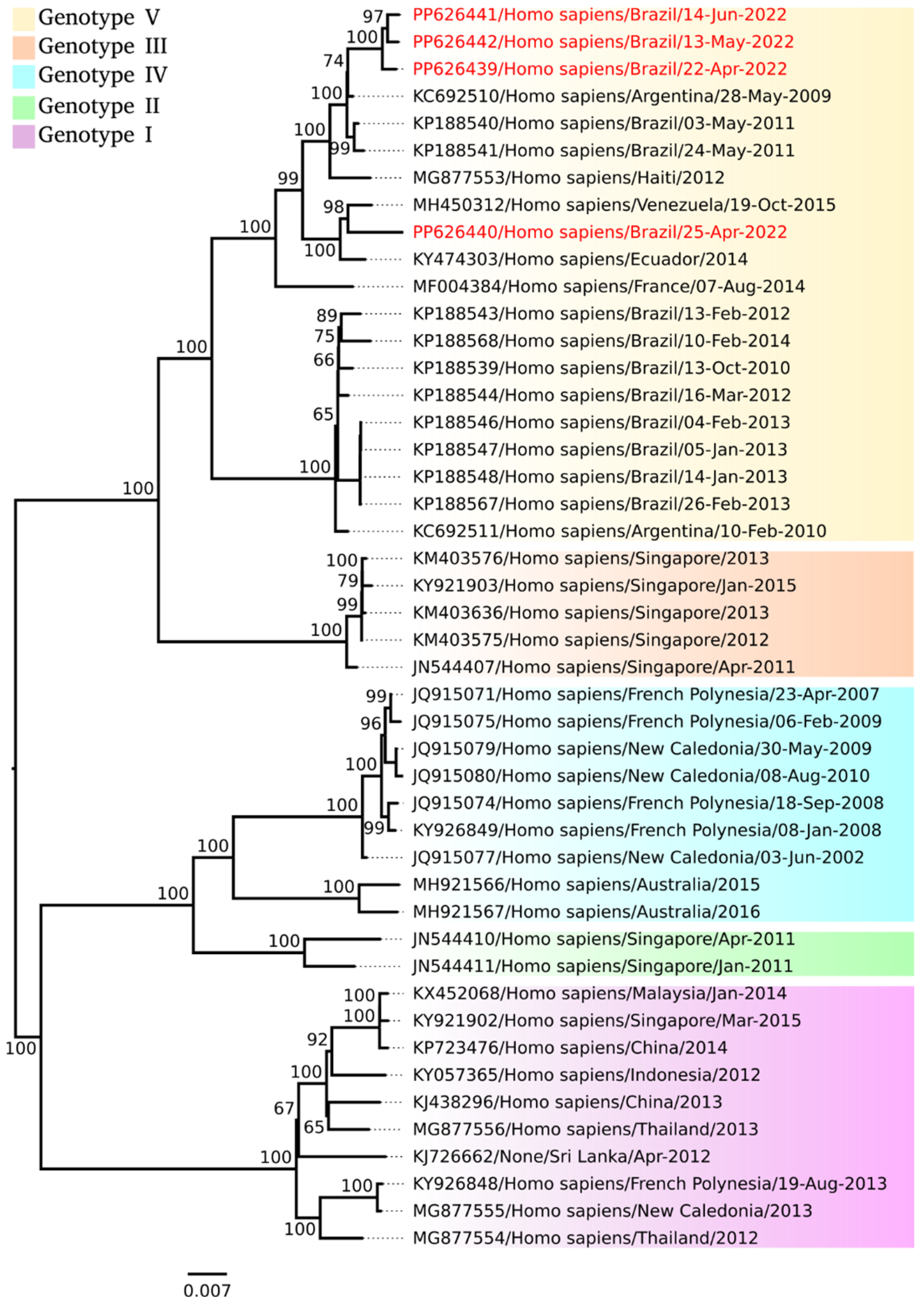 Viruses 17 00475 g001
