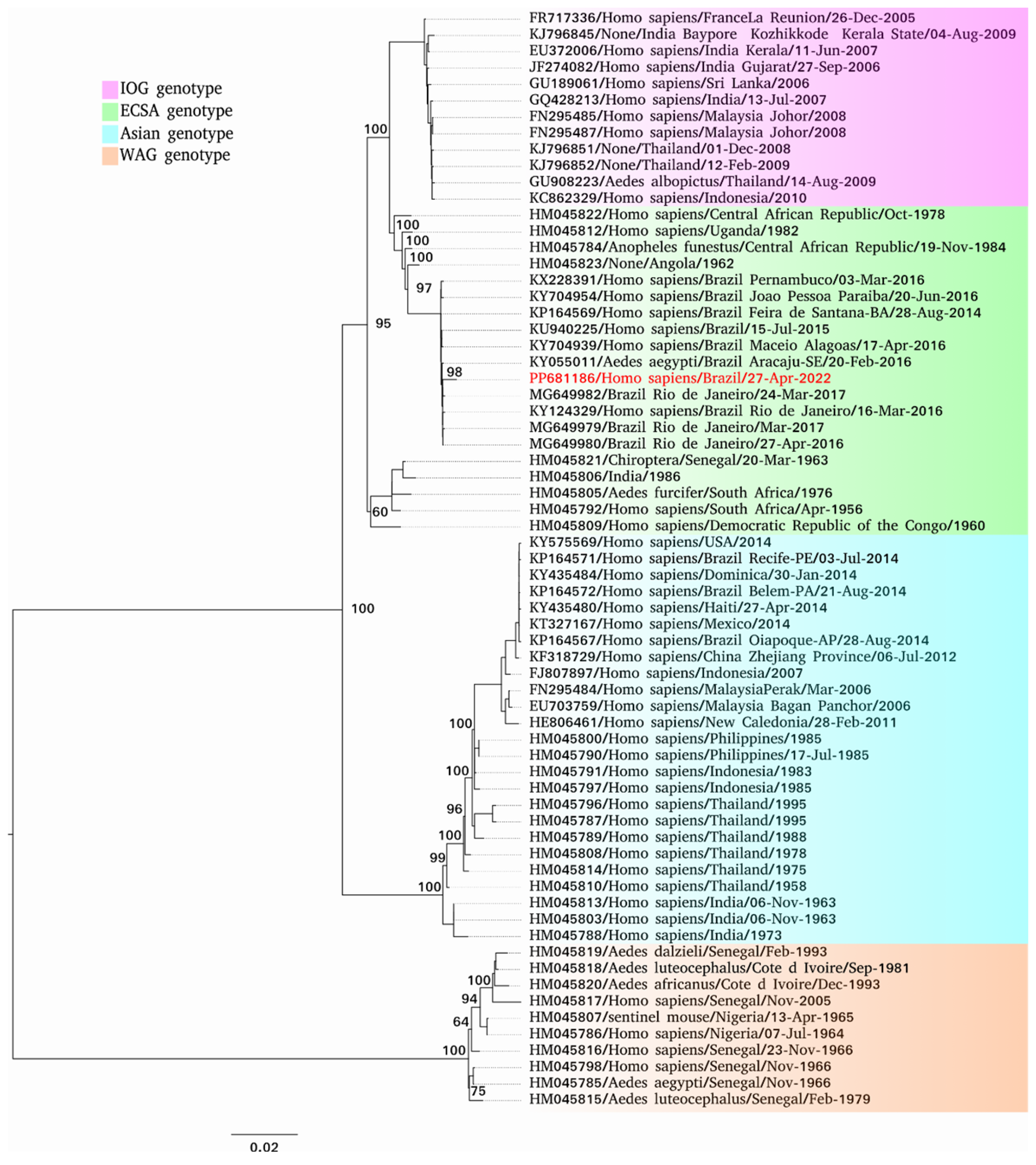 Viruses 17 00475 g002