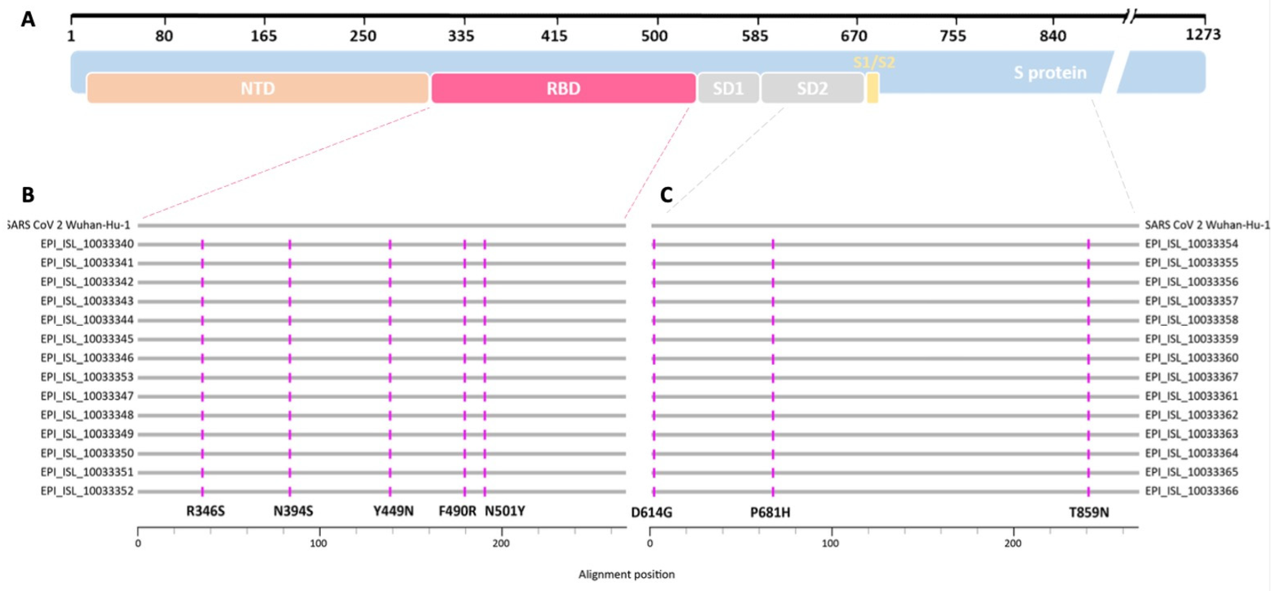 Viruses 17 00477 g001