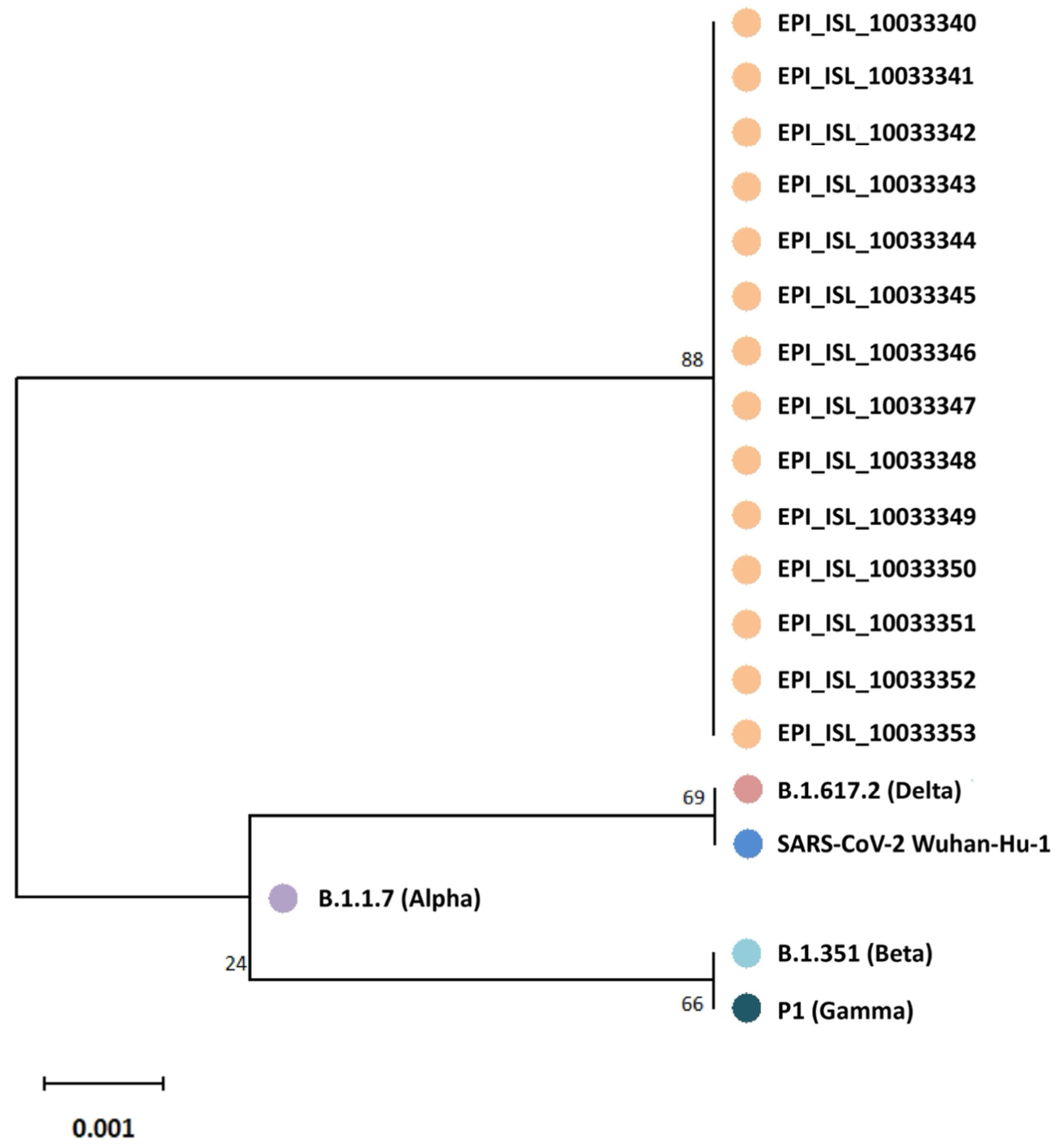 Viruses 17 00477 g002