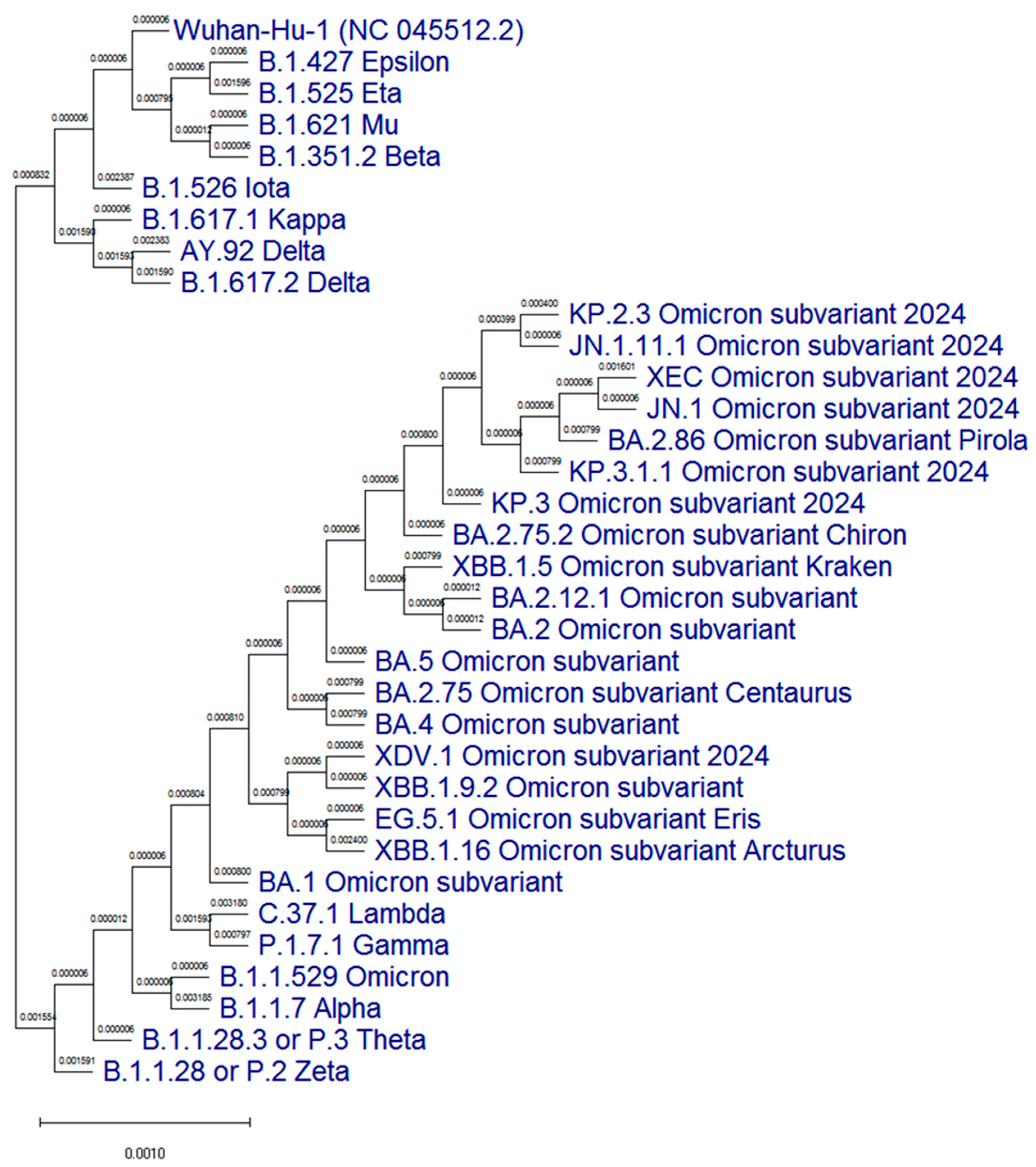 Viruses 17 00481 g001
