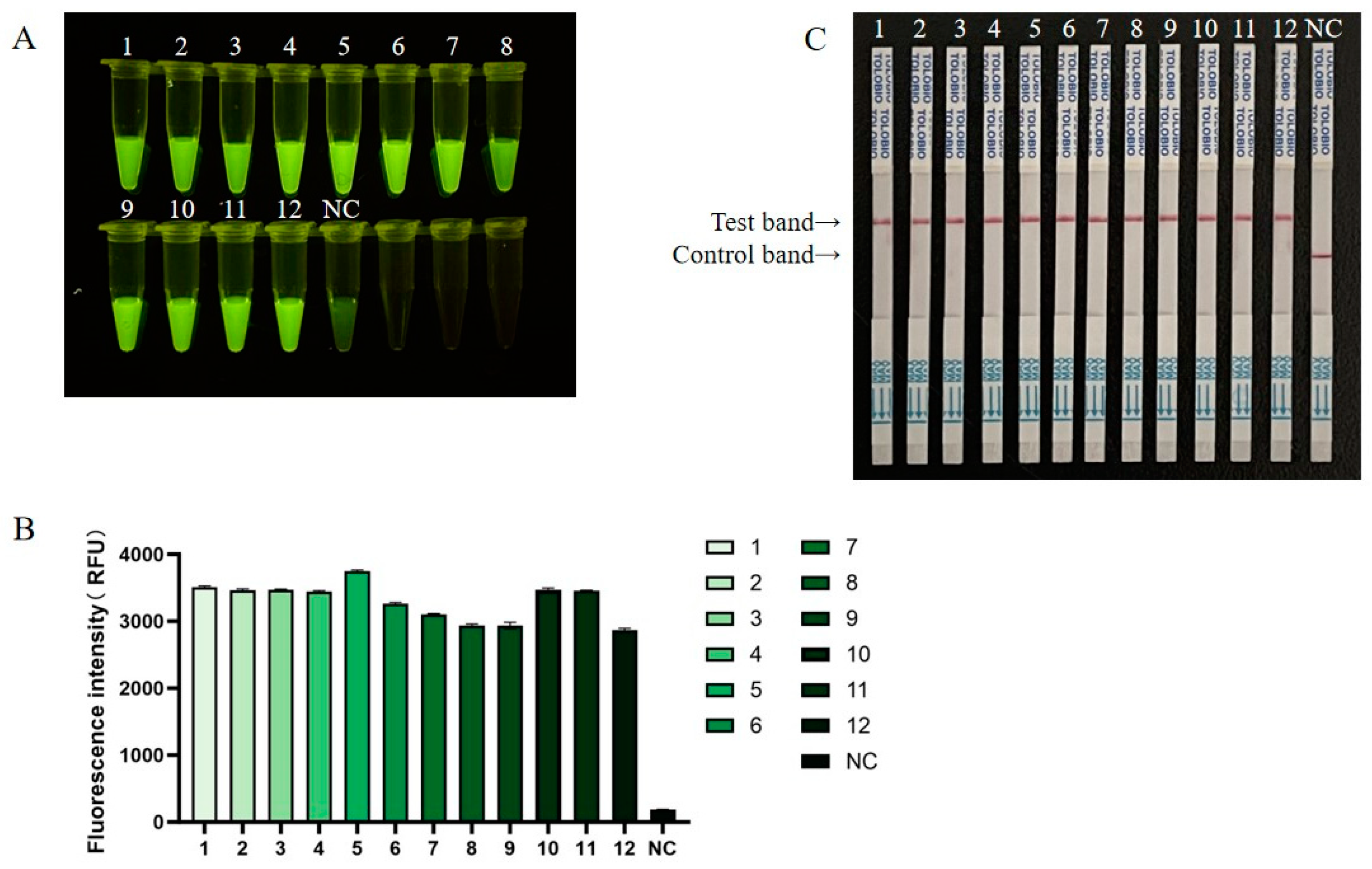 Viruses 17 00483 g005