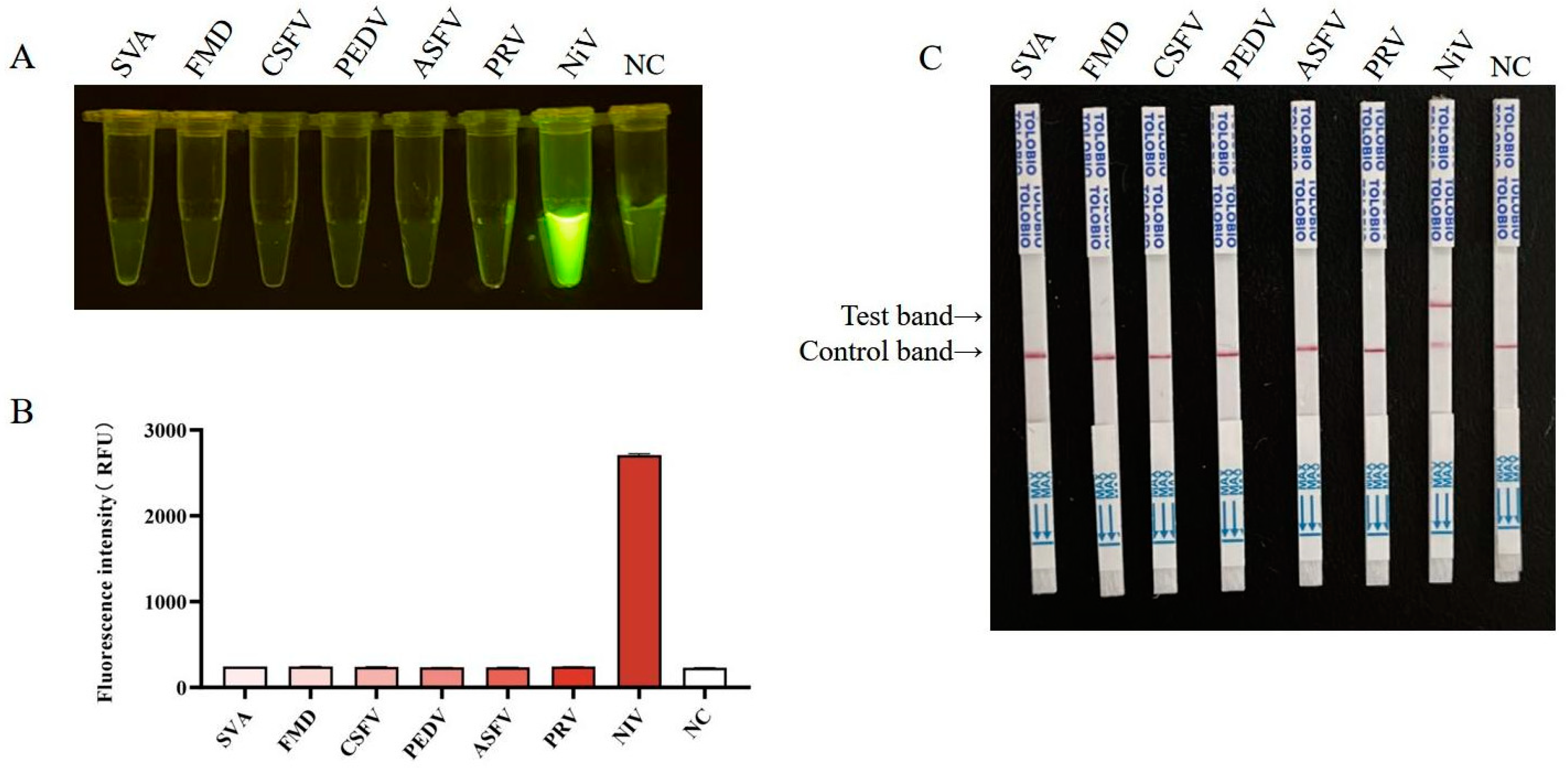 Viruses 17 00483 g006