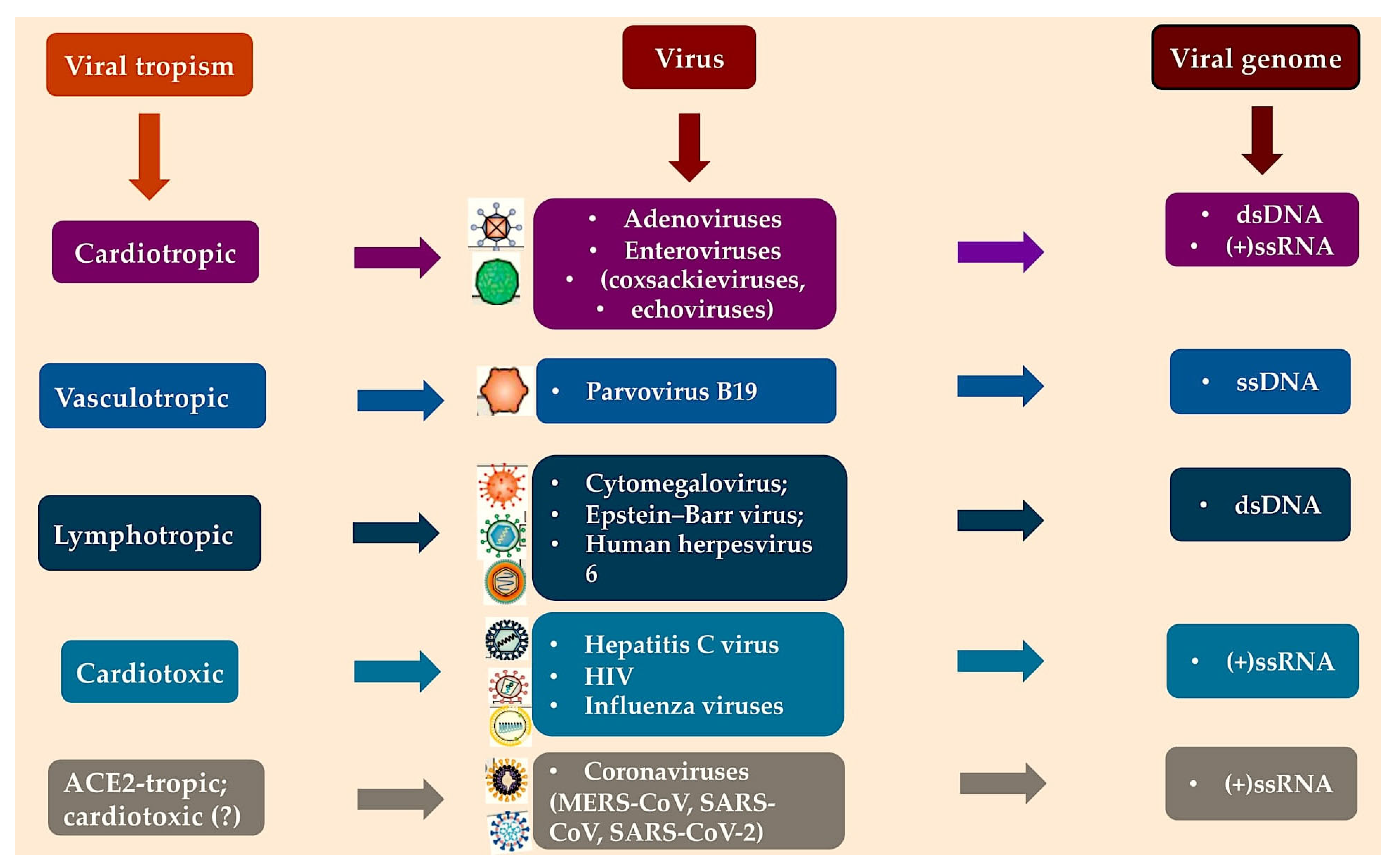 Viruses 17 00484 g001