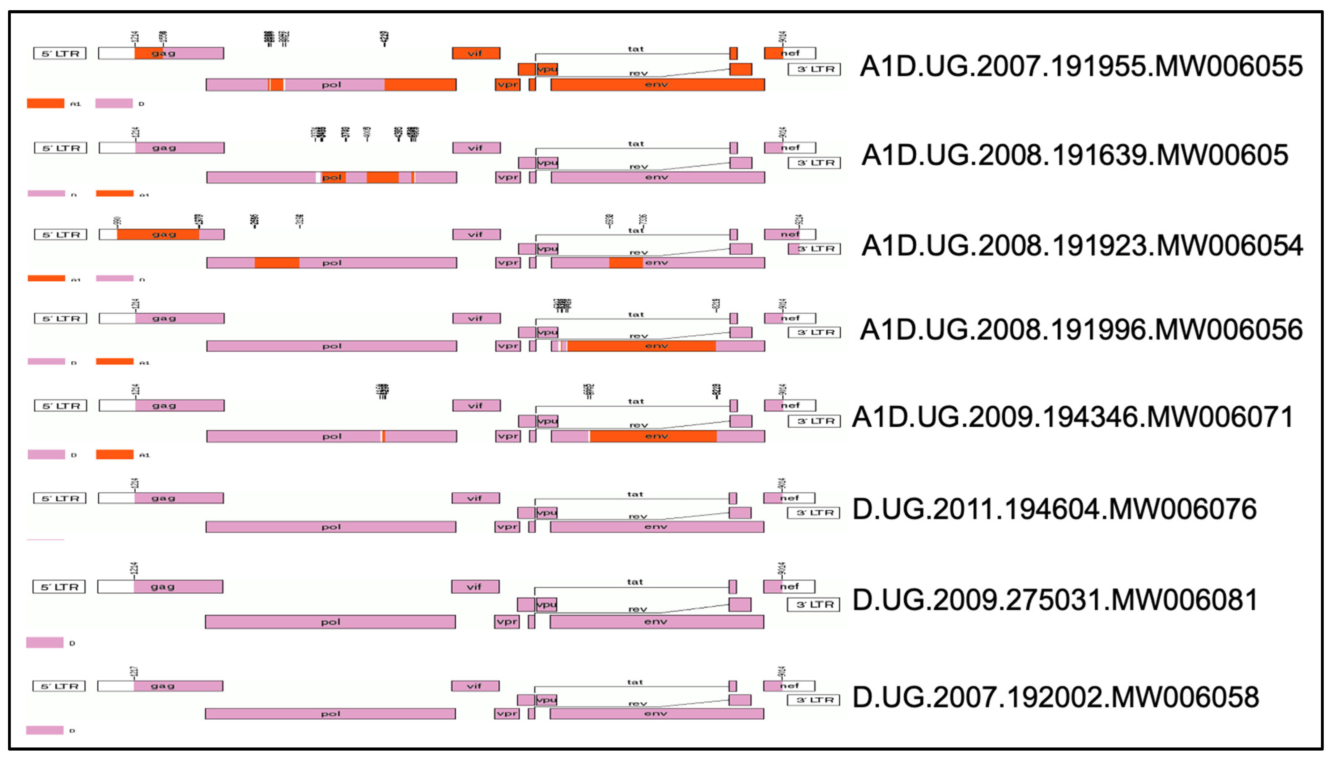 Viruses 17 00486 g001 Viruses 17 00486 g001