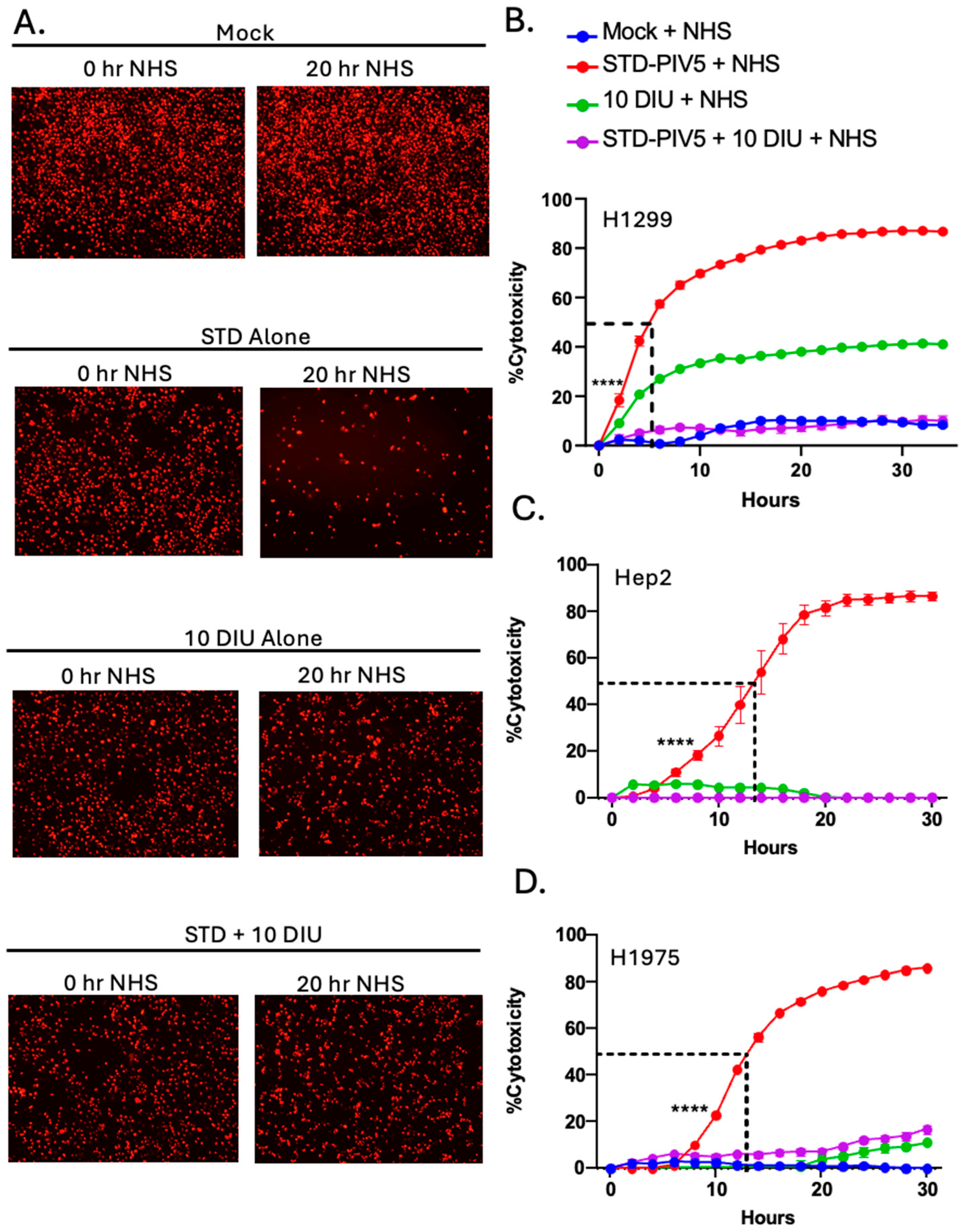 Viruses 17 00488 g005 Viruses 17 00488 g005