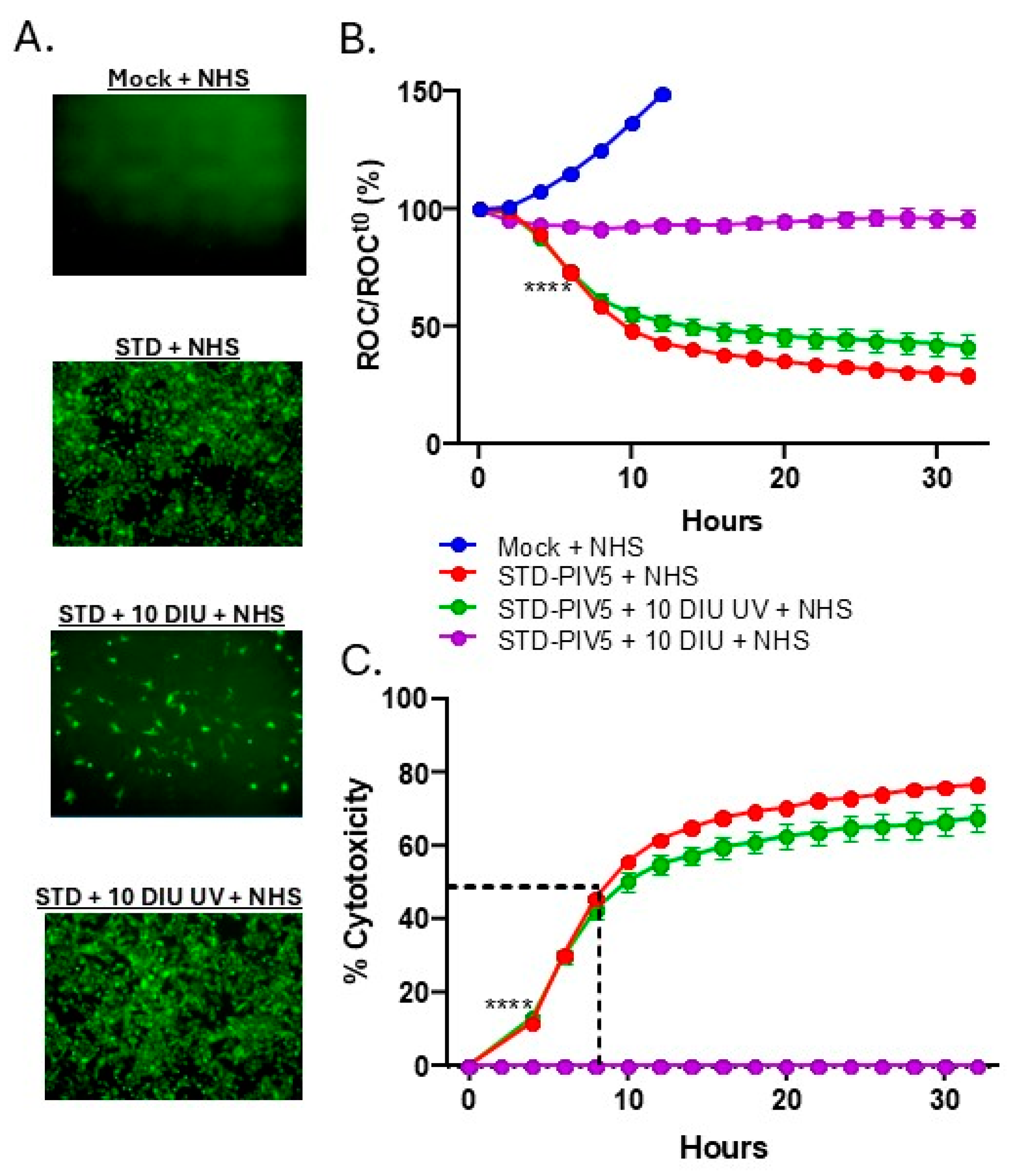 Viruses 17 00488 g006 Viruses 17 00488 g006