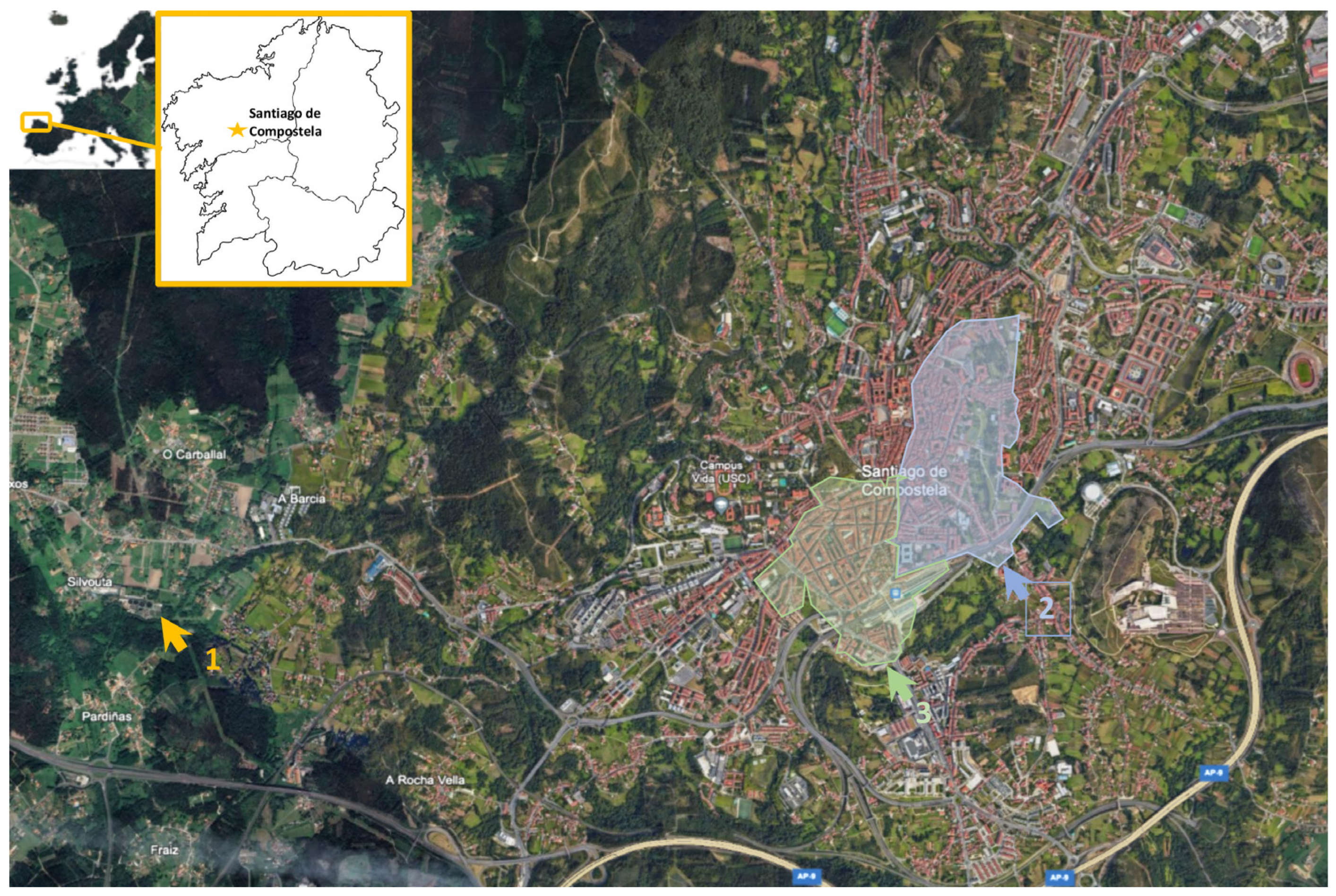 Viruses 17 00489 g001