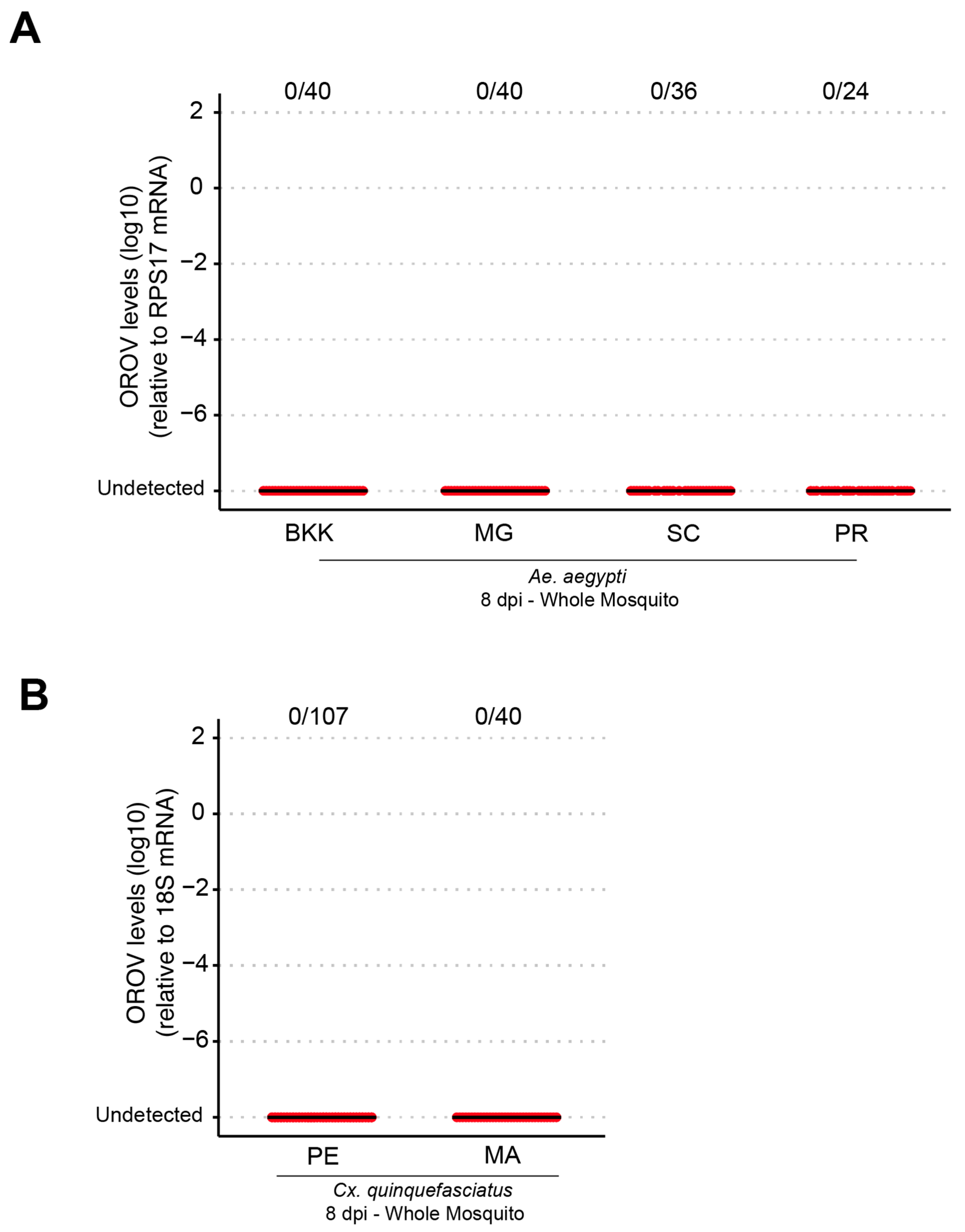 Viruses 17 00492 g001