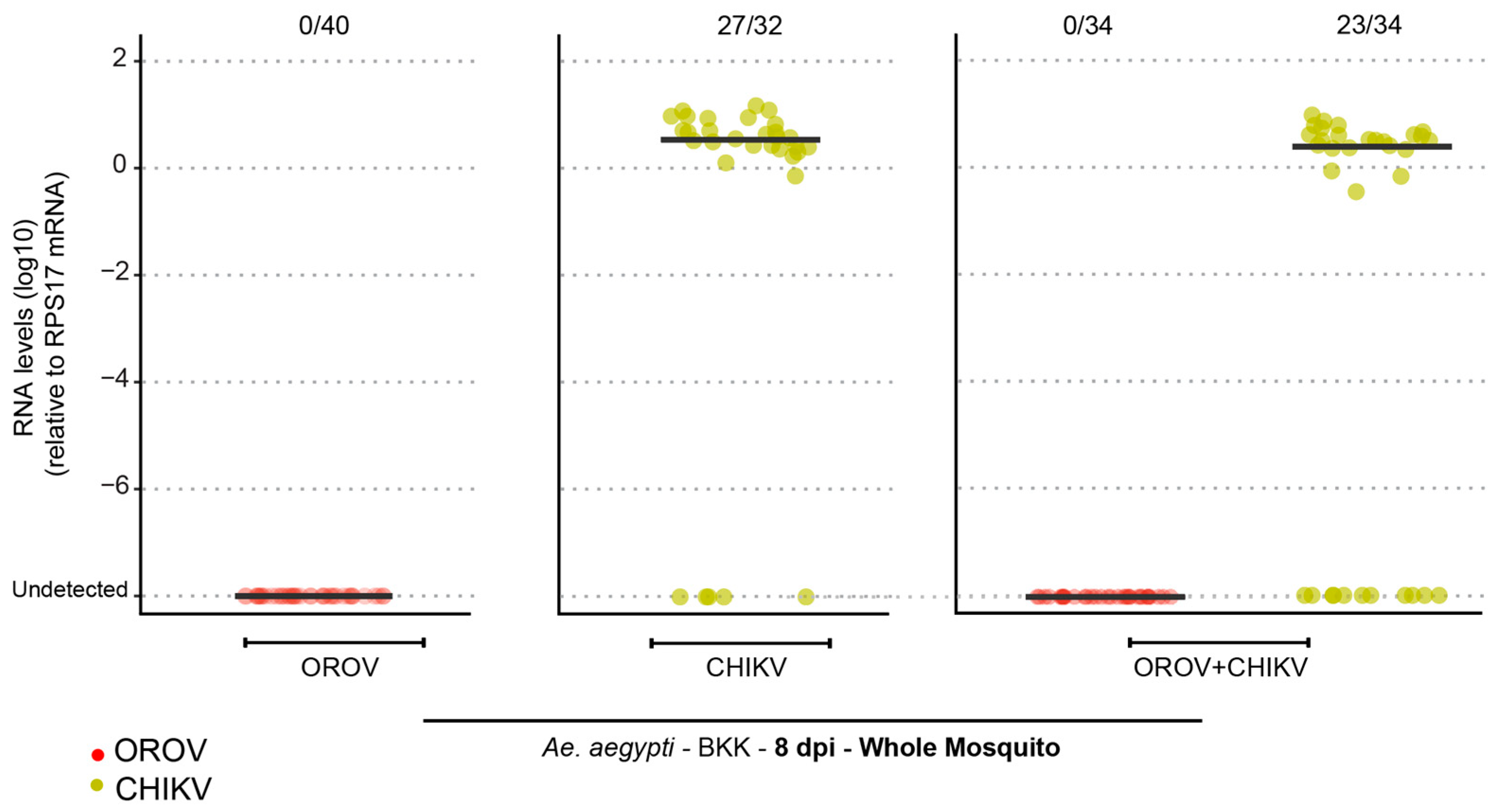 Viruses 17 00492 g003
