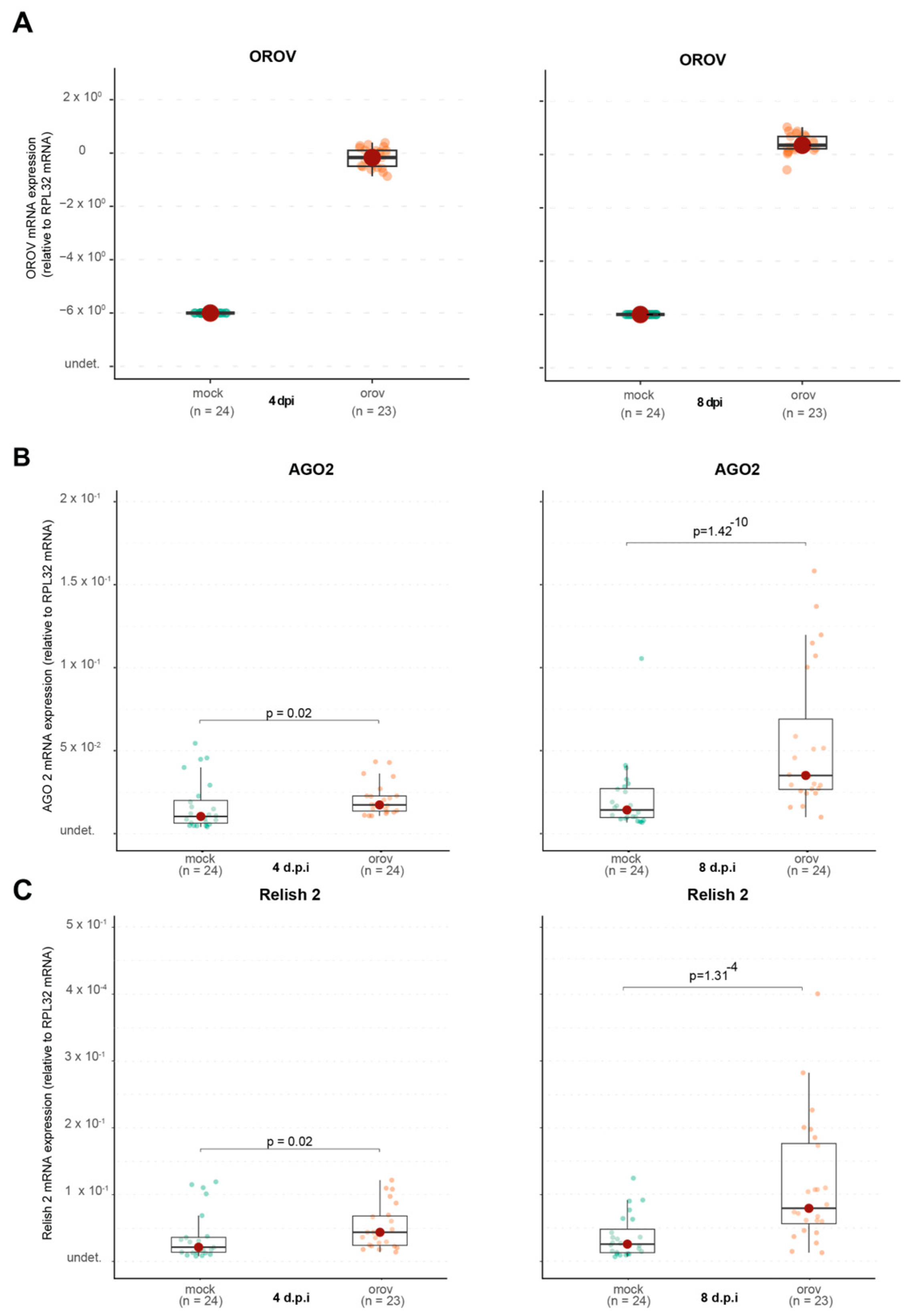 Viruses 17 00492 g005