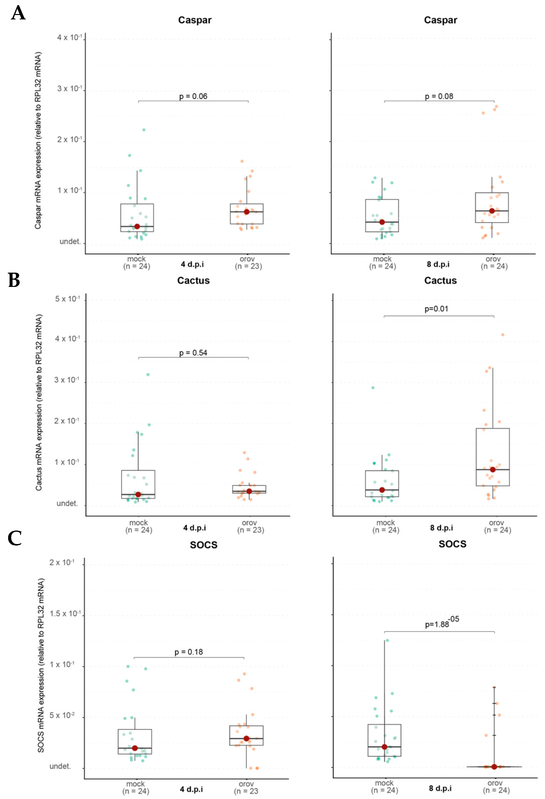 Viruses 17 00492 g006