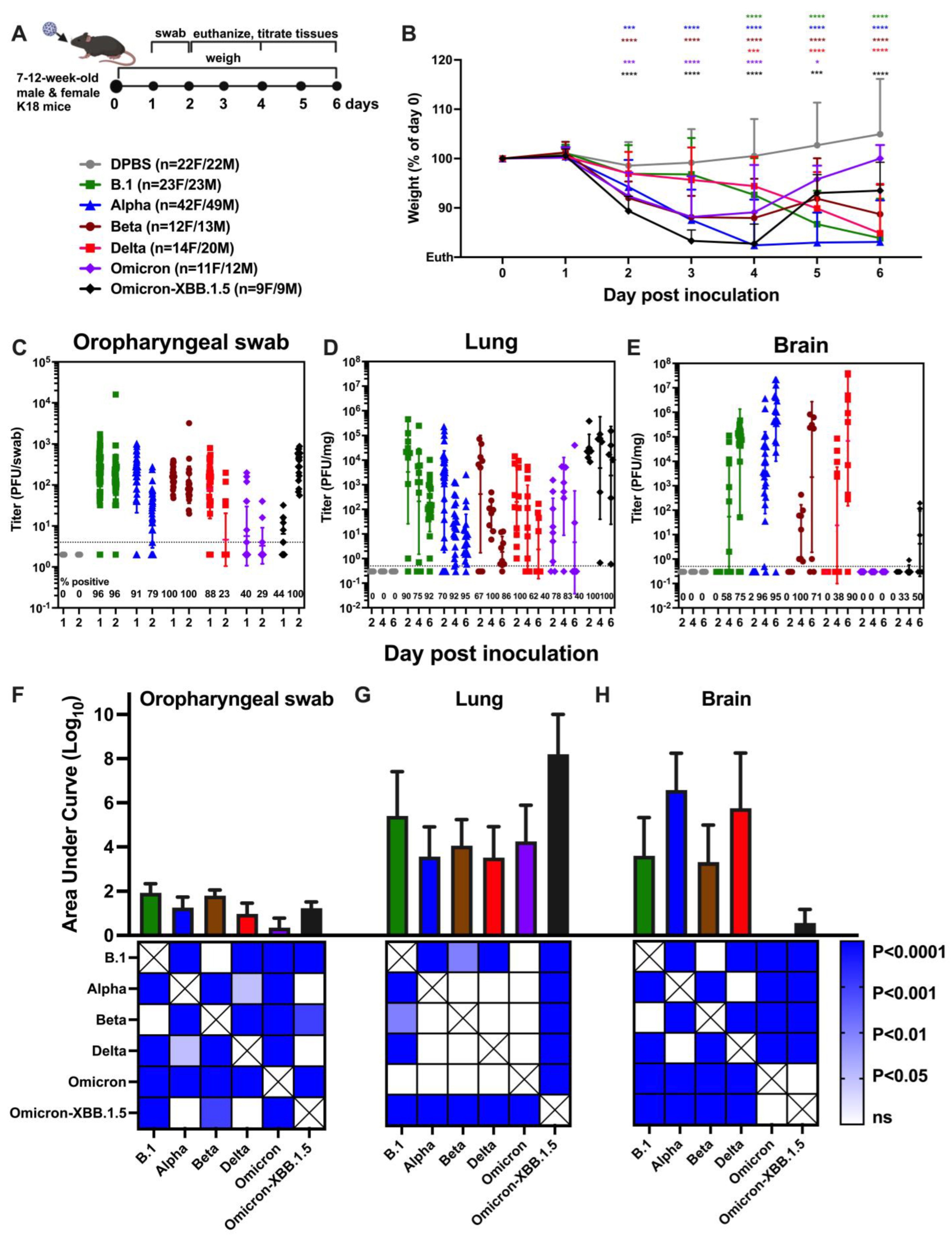 Viruses 17 00500 g001