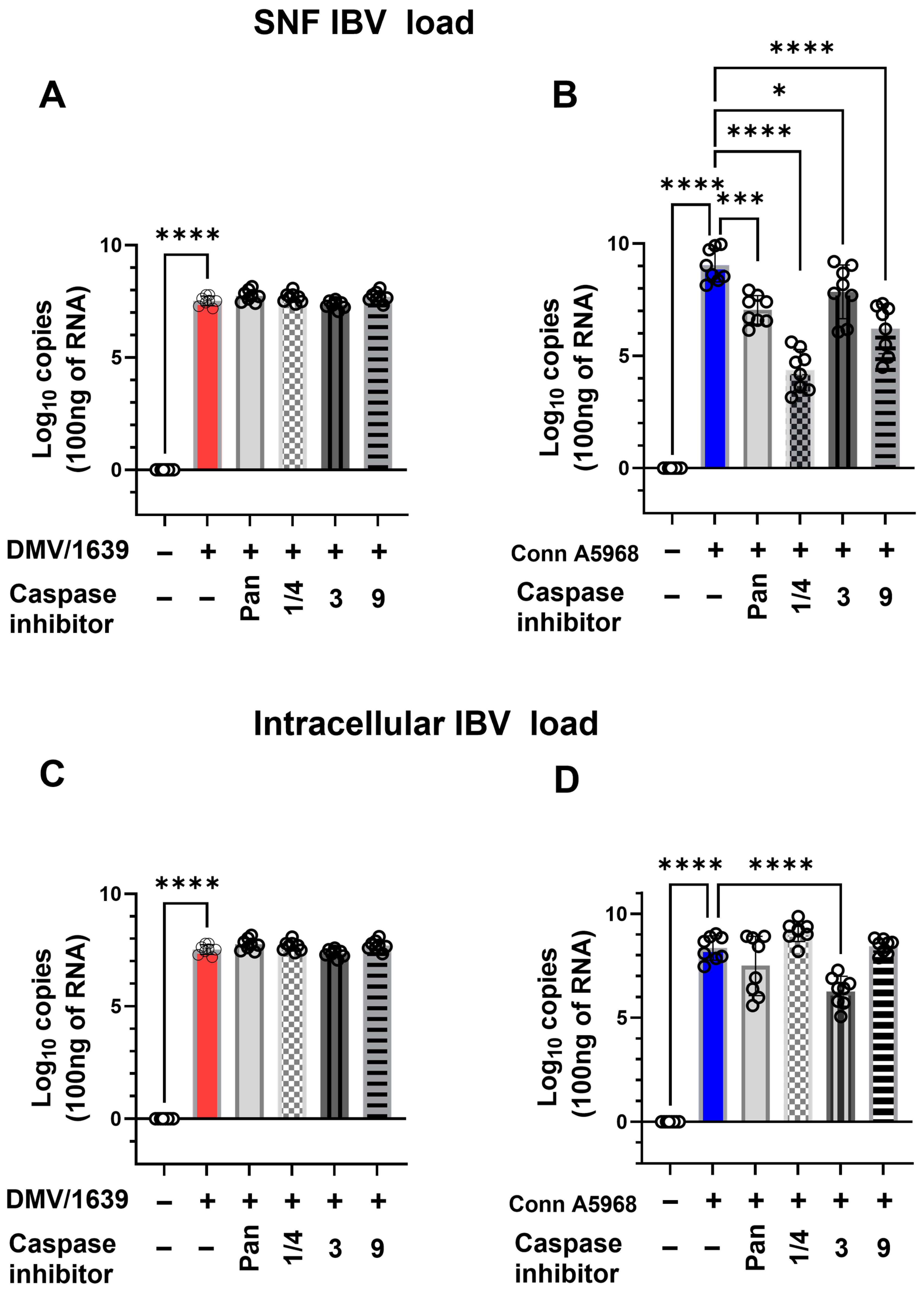 Viruses 17 00503 g003