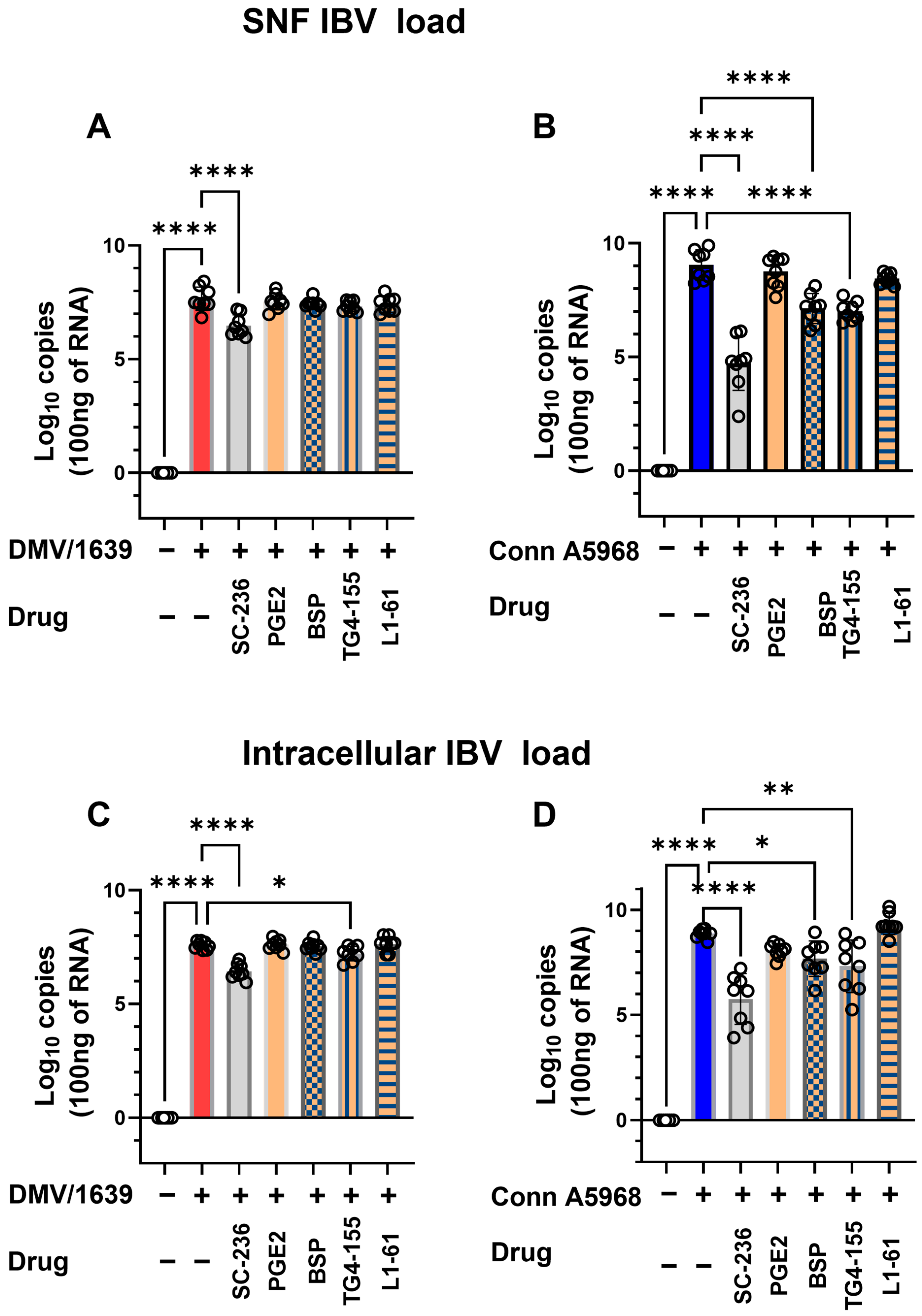 Viruses 17 00503 g005