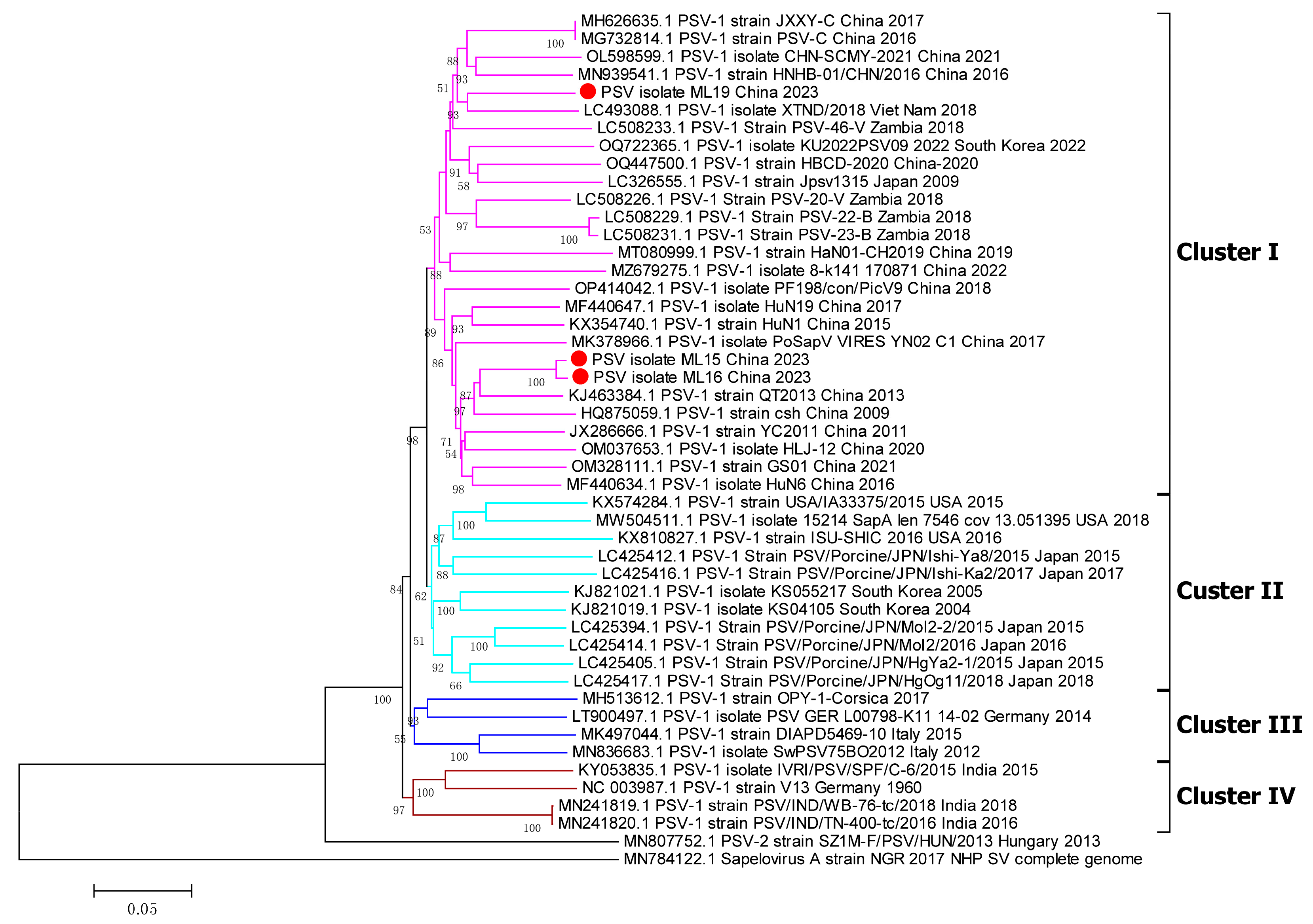 Viruses 17 00505 g005