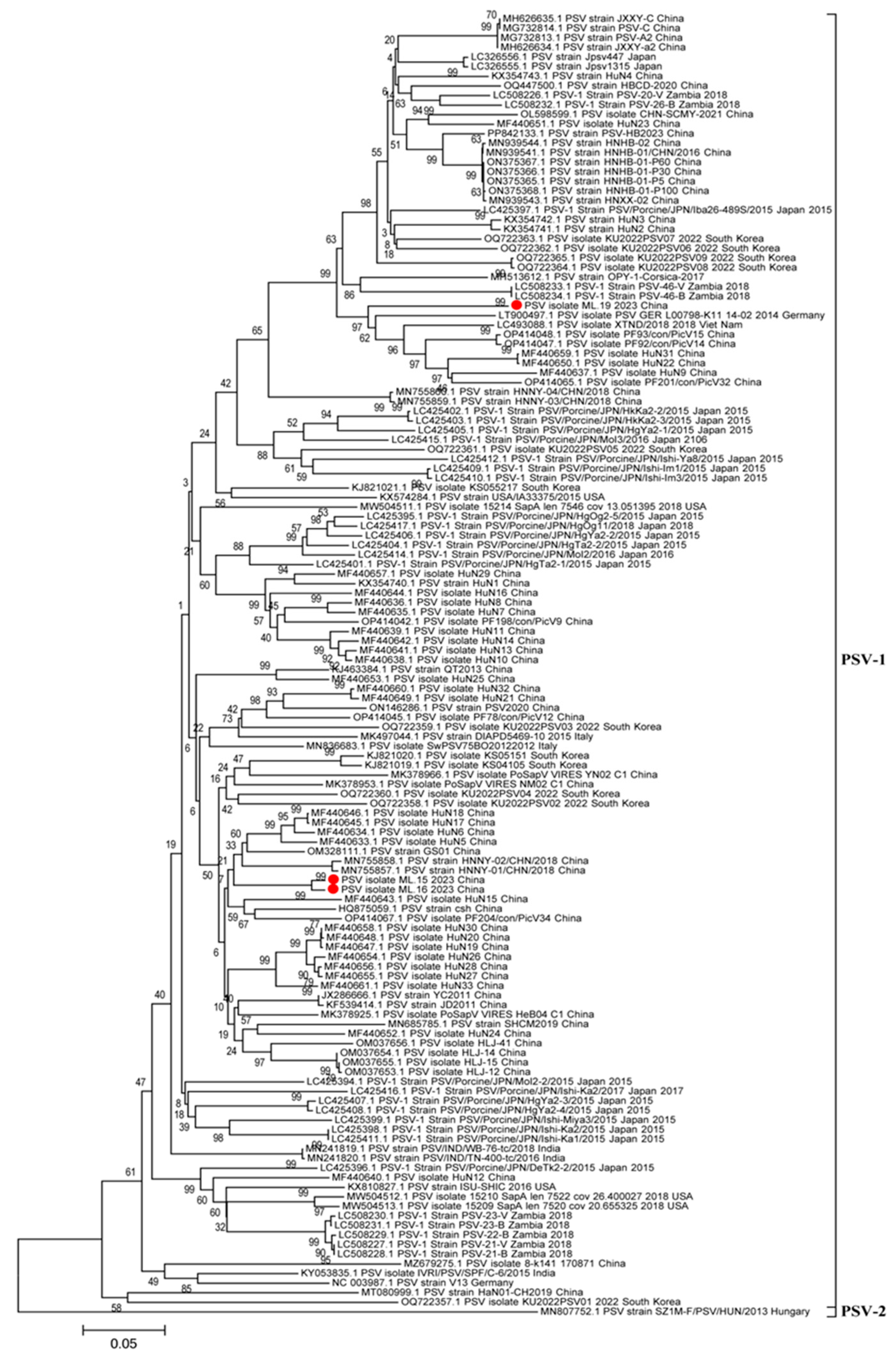 Viruses 17 00505 g007
