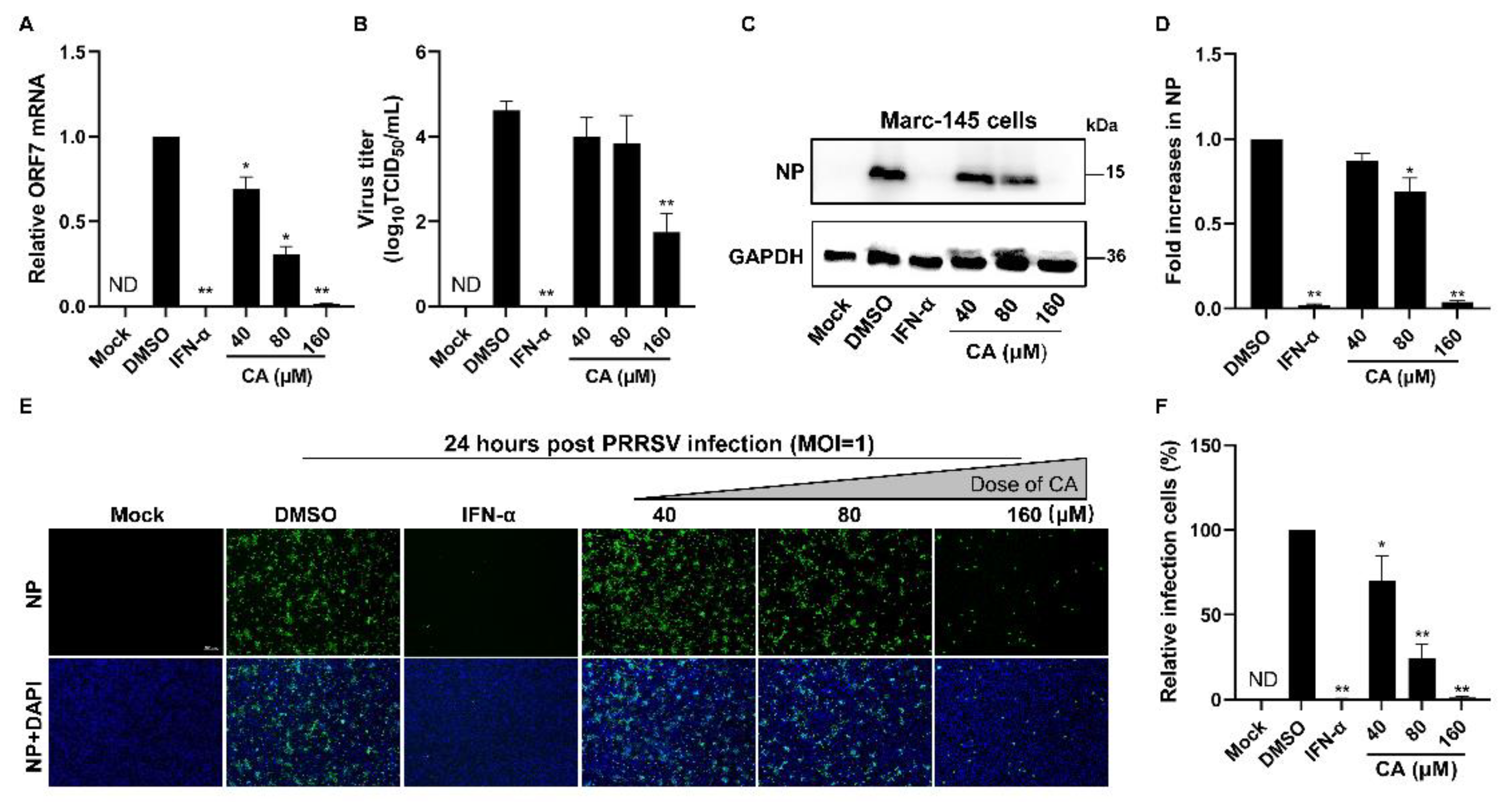 Viruses 17 00506 g002 Viruses 17 00506 g002
