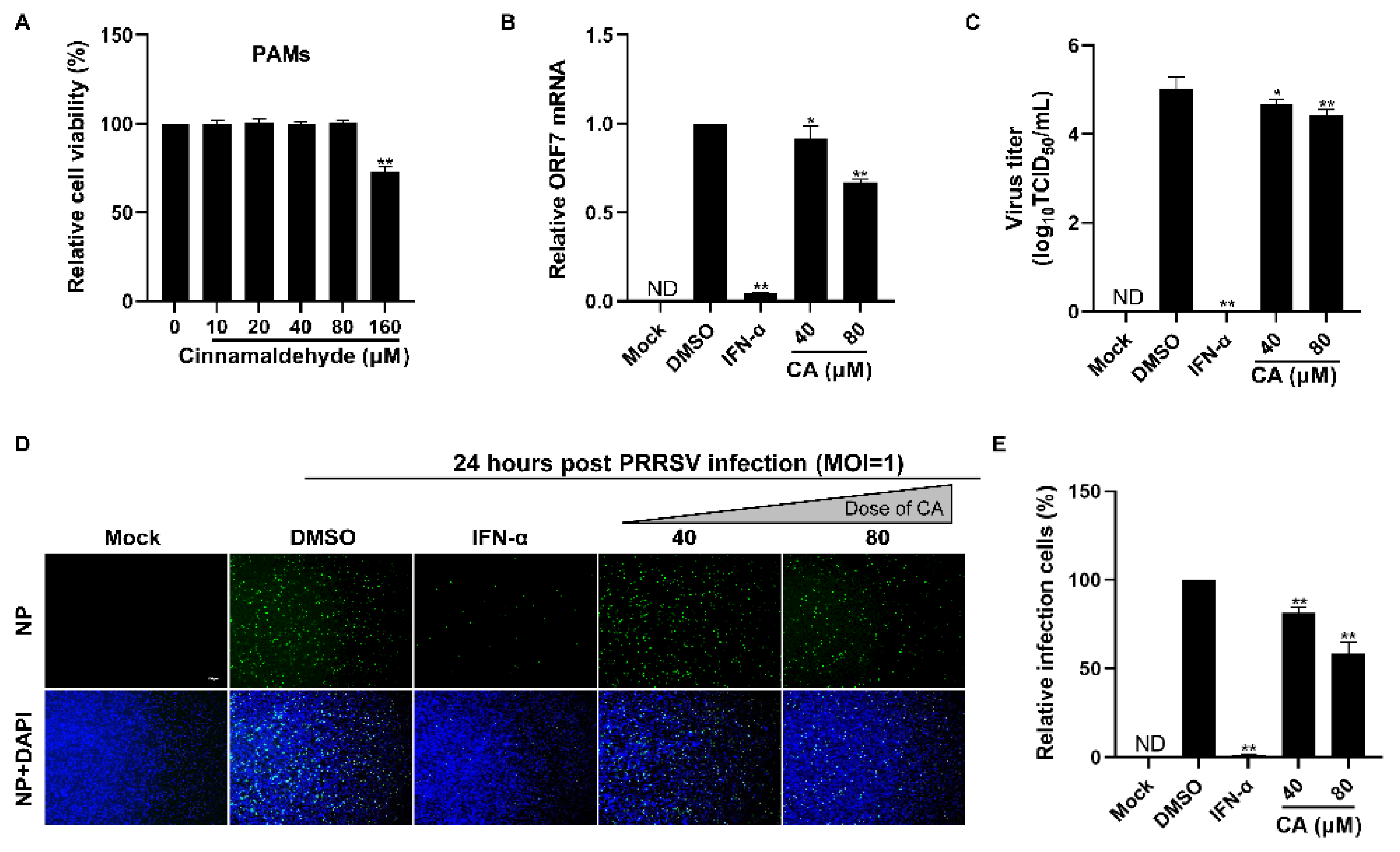 Viruses 17 00506 g003 Viruses 17 00506 g003