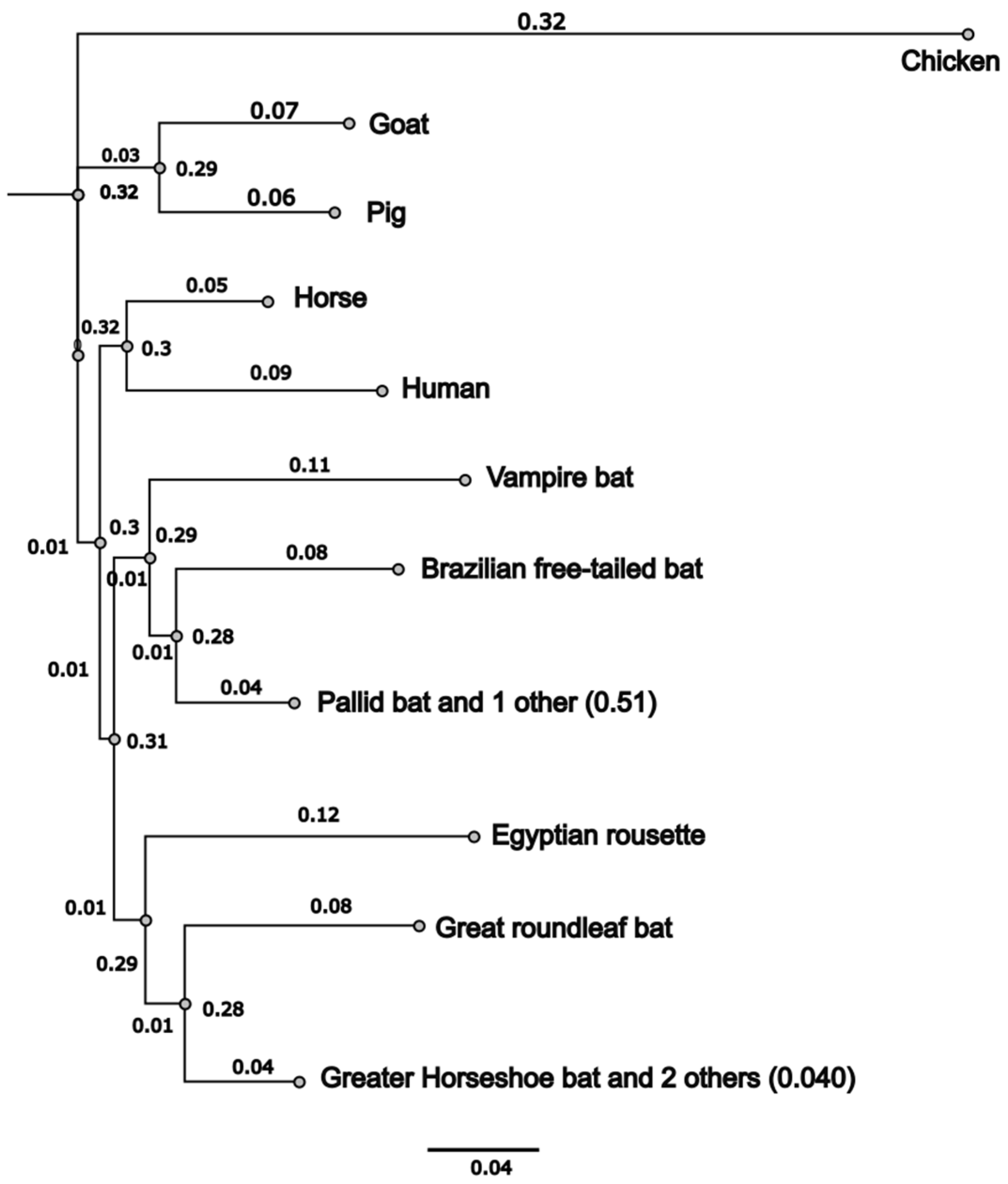 Viruses 17 00507 g001