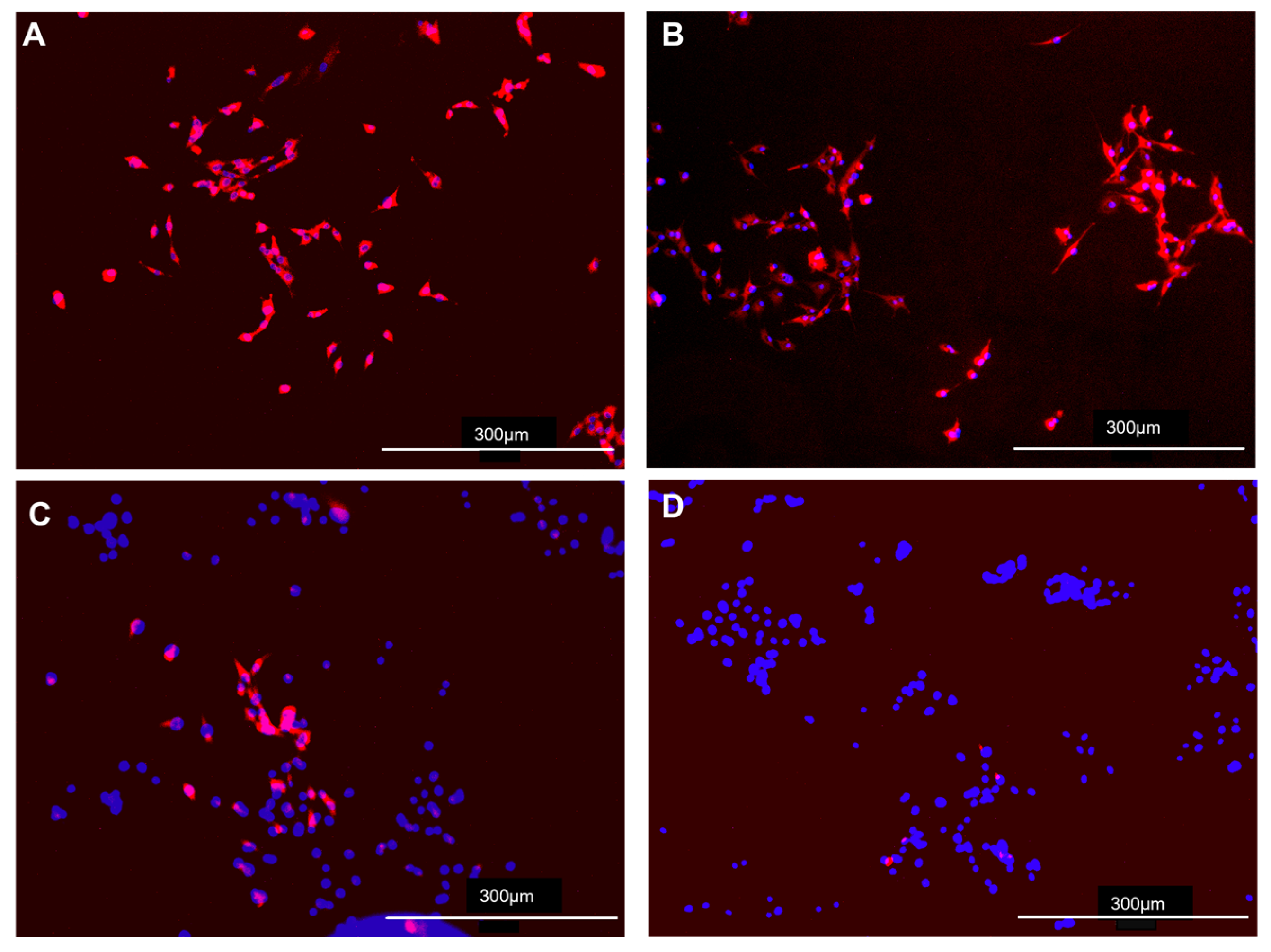 Viruses 17 00507 g003